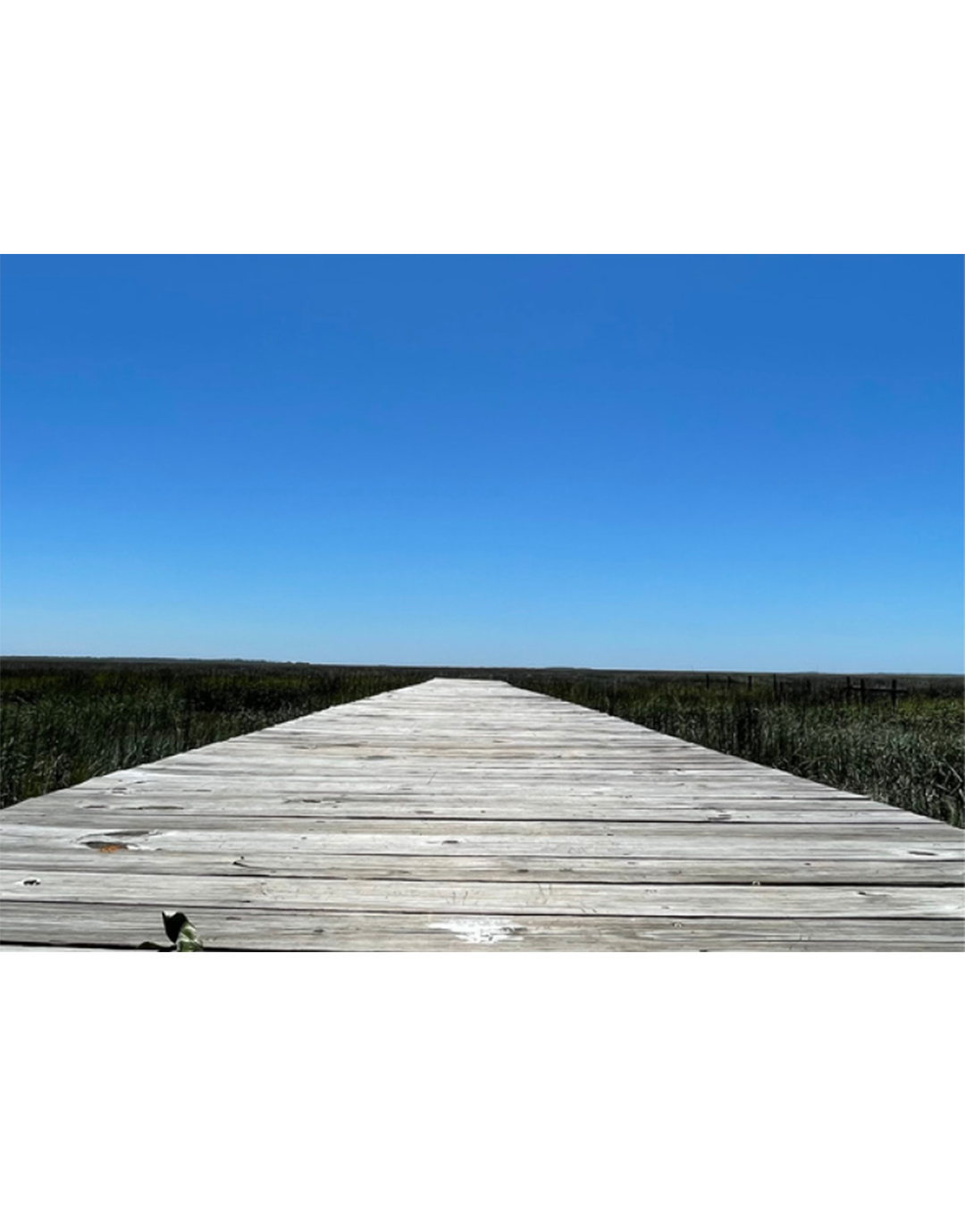 Wilmintong Island Port