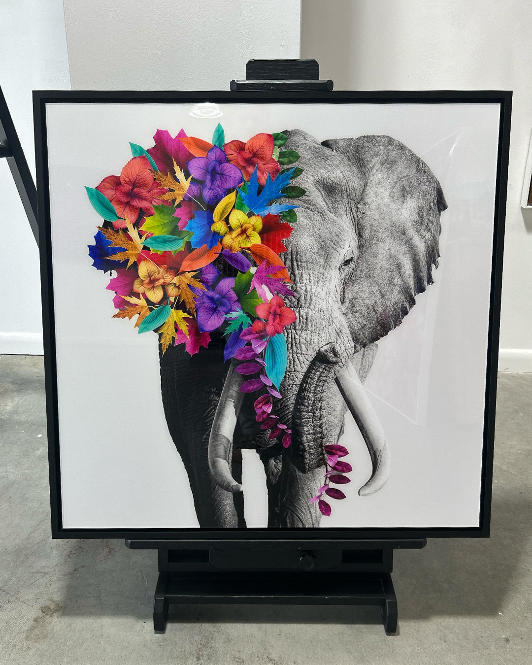 Baldy Art Gallery James B. Studio Digital Art, Black and White Photography Colorful Flowers Fine Art Photography