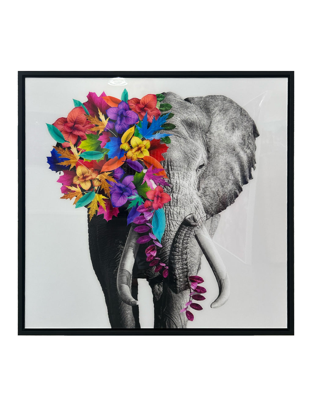 Baldy Art Gallery James B. Studio Digital Art, Black and White Photography Colorful Flowers Fine Art Photography