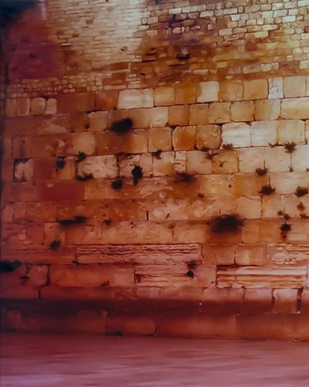 Baldy Art Gallery Photography The Wall by James B. Studio