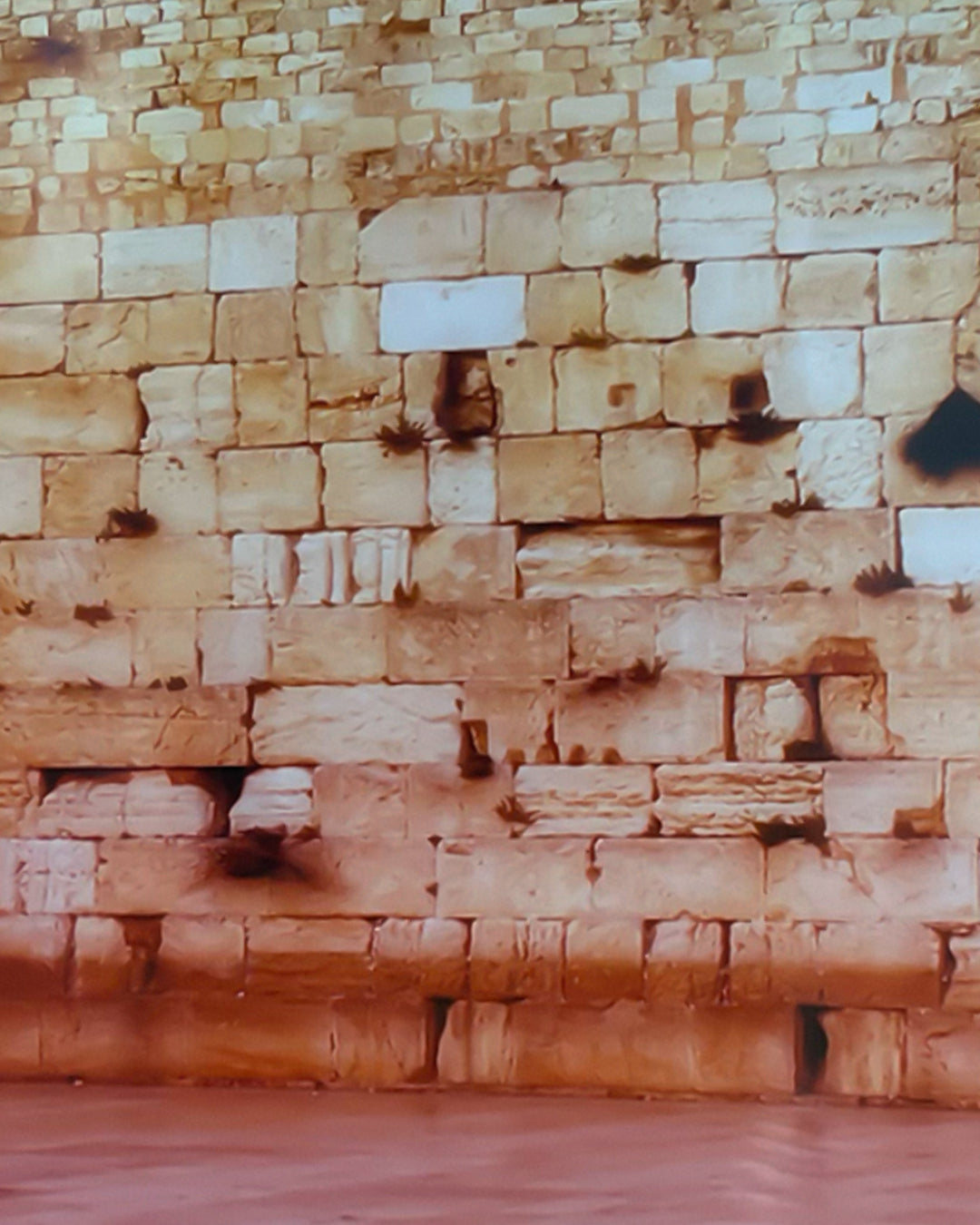 Baldy Art Gallery Photography The Wall by James B. Studio