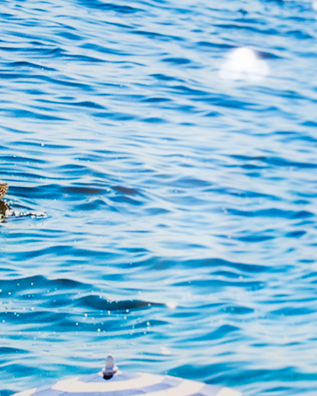 Baldy Art Gallery Stripped Umbrellas Getty images print