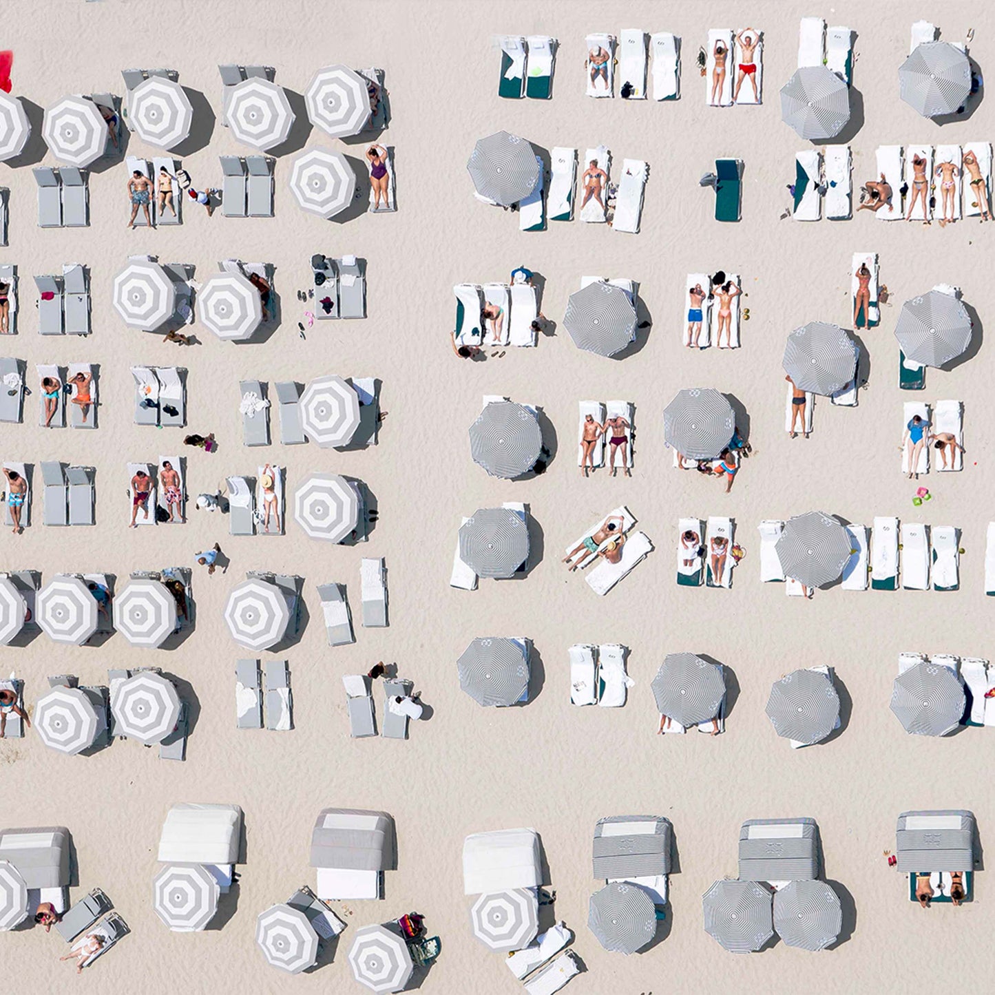 baldy art gallery dinesh boaz wall art collection