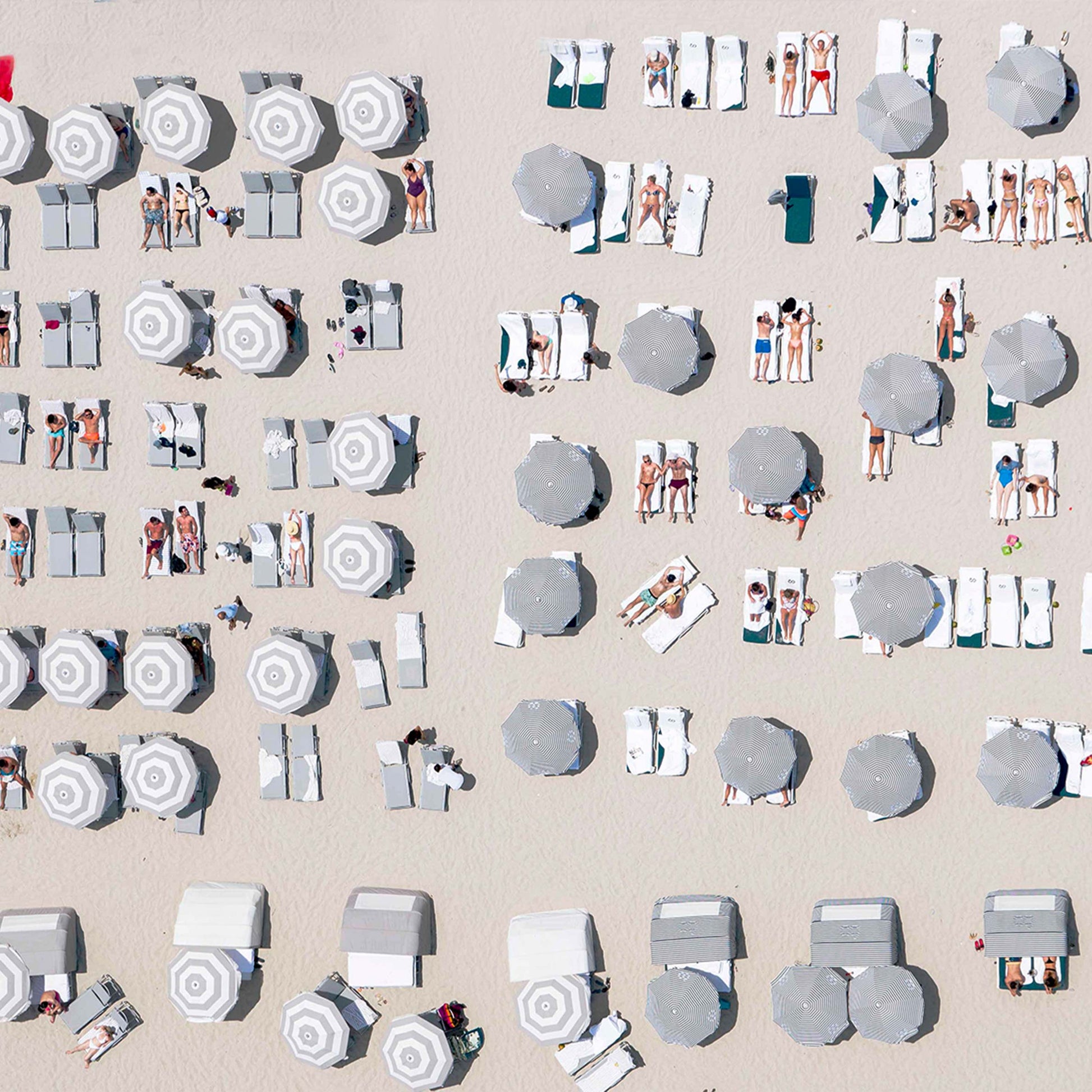 baldy art gallery dinesh boaz wall art collection