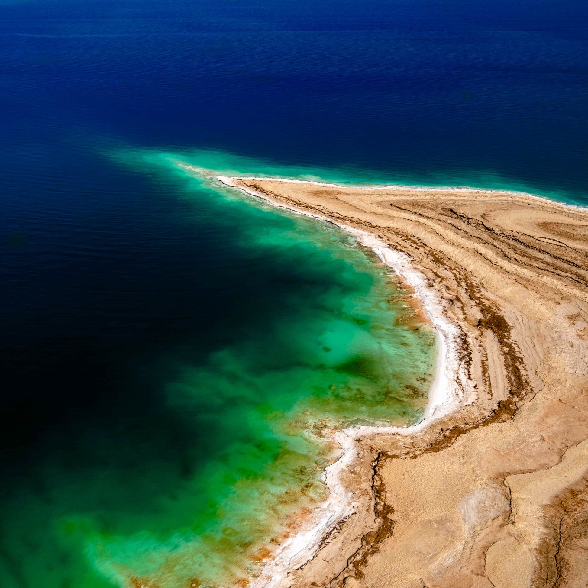 baldy art gallery dinesh boaz wall art collection