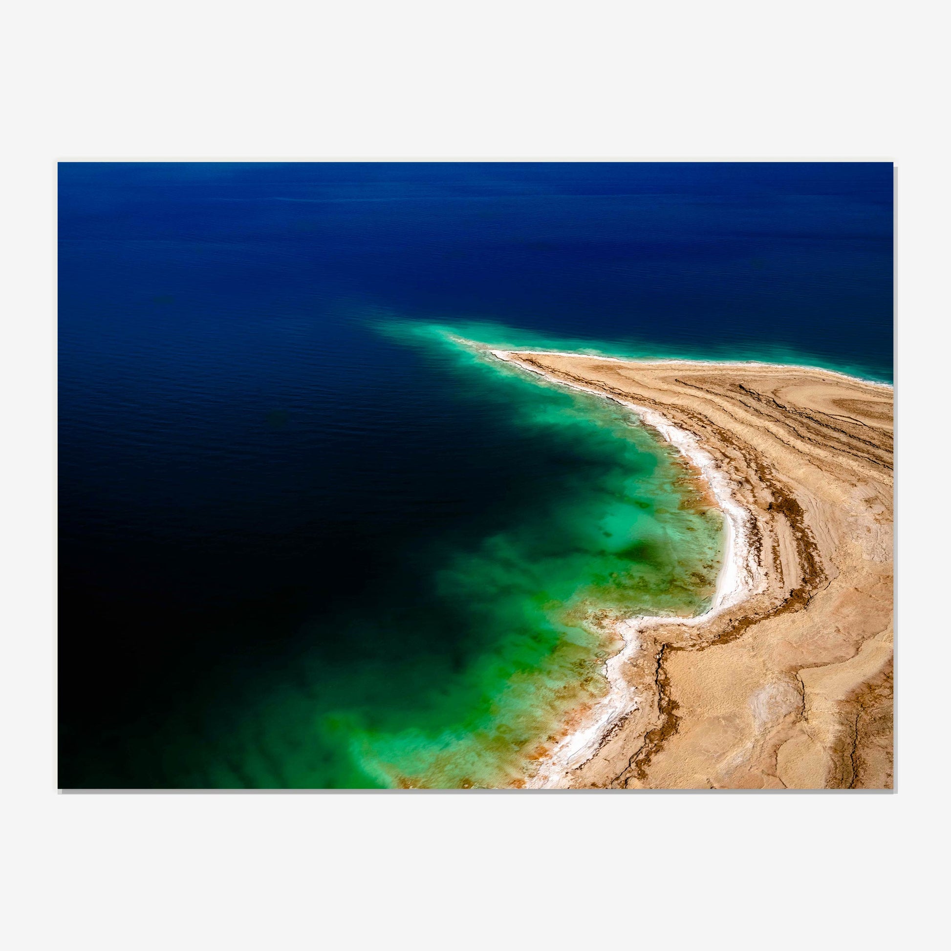 baldy art gallery dinesh boaz wall art collection