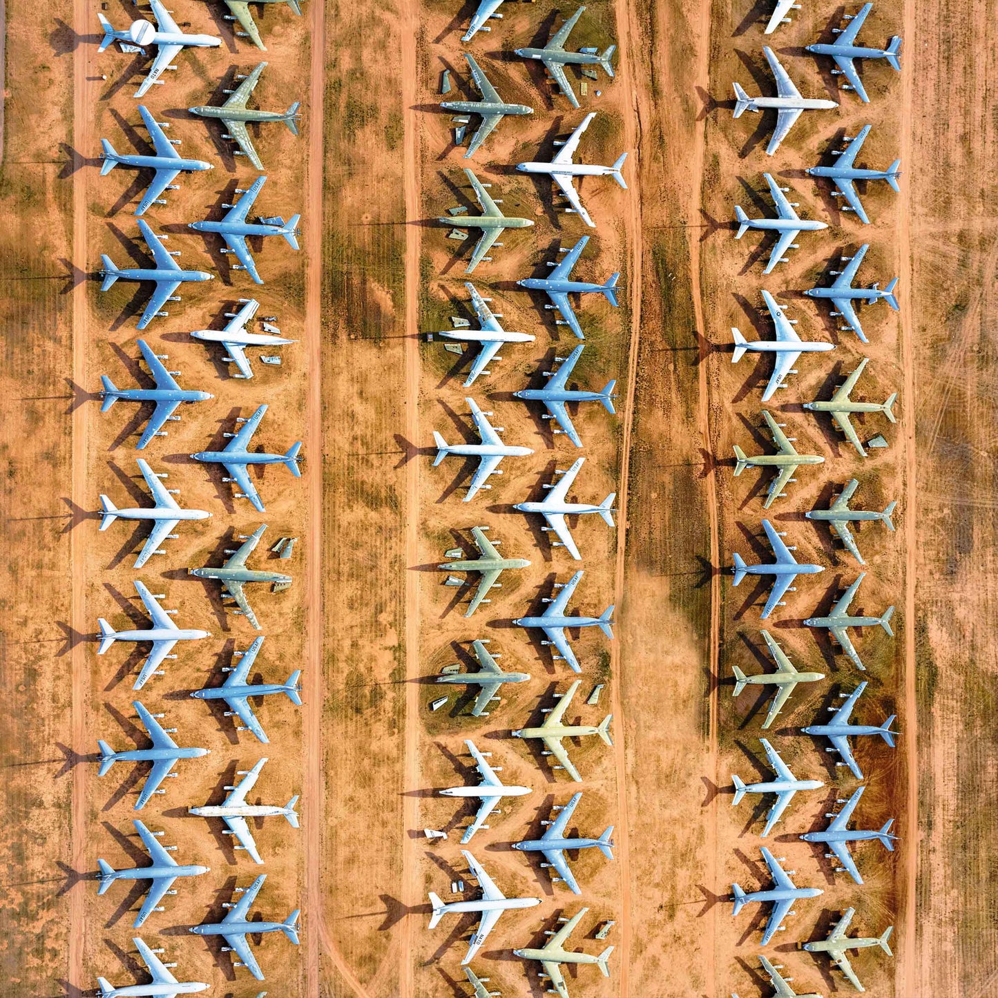 baldy art gallery dinesh boaz wall art collection