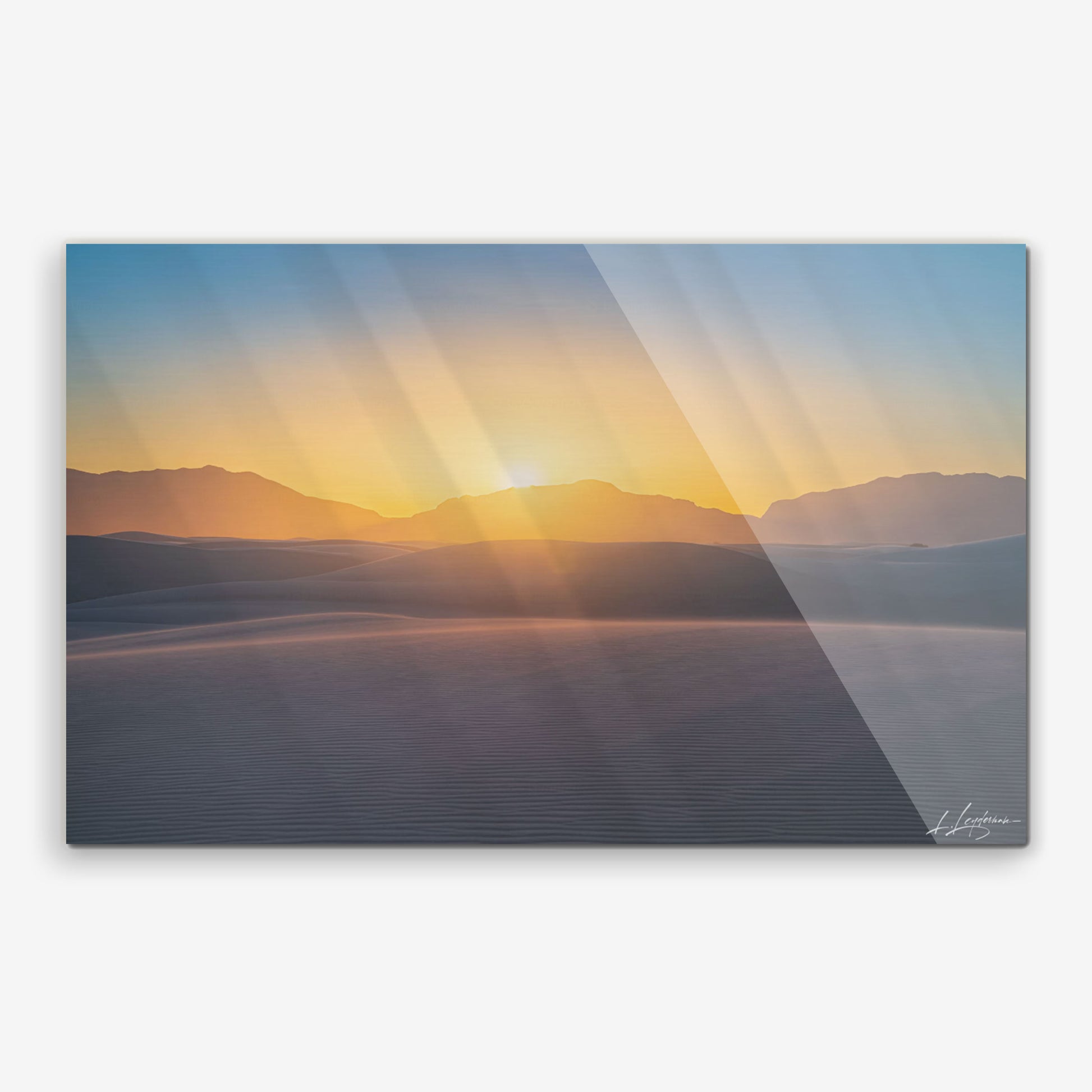 baldy art gallery lawrence leyderman wall art collector decor