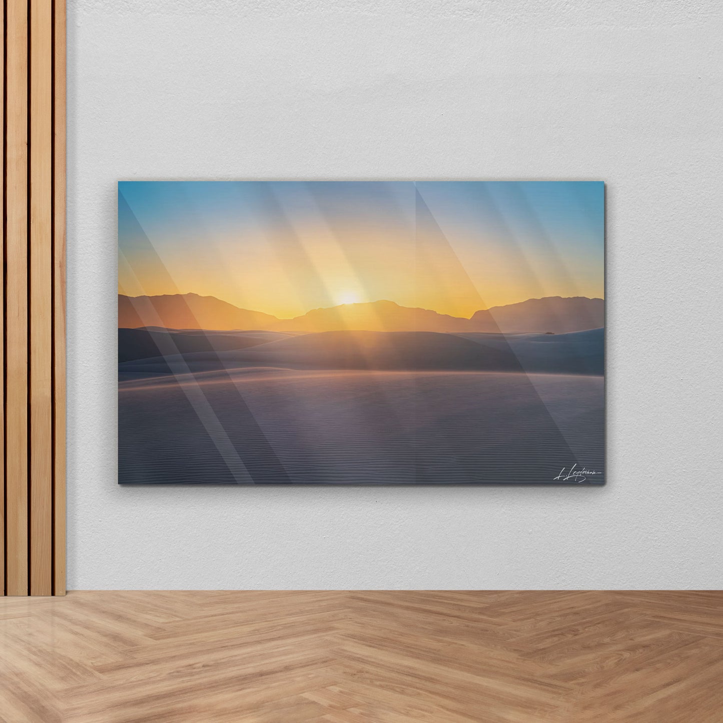 baldy art gallery lawrence leyderman wall art collector decor