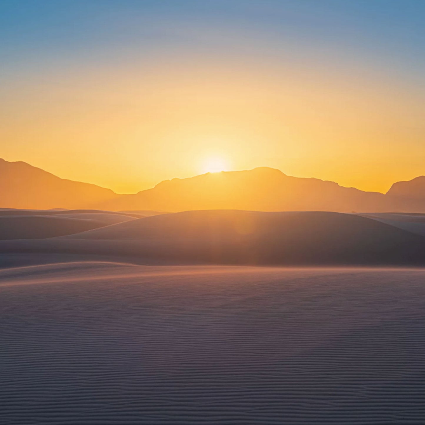 baldy art gallery lawrence leyderman wall art collector decor