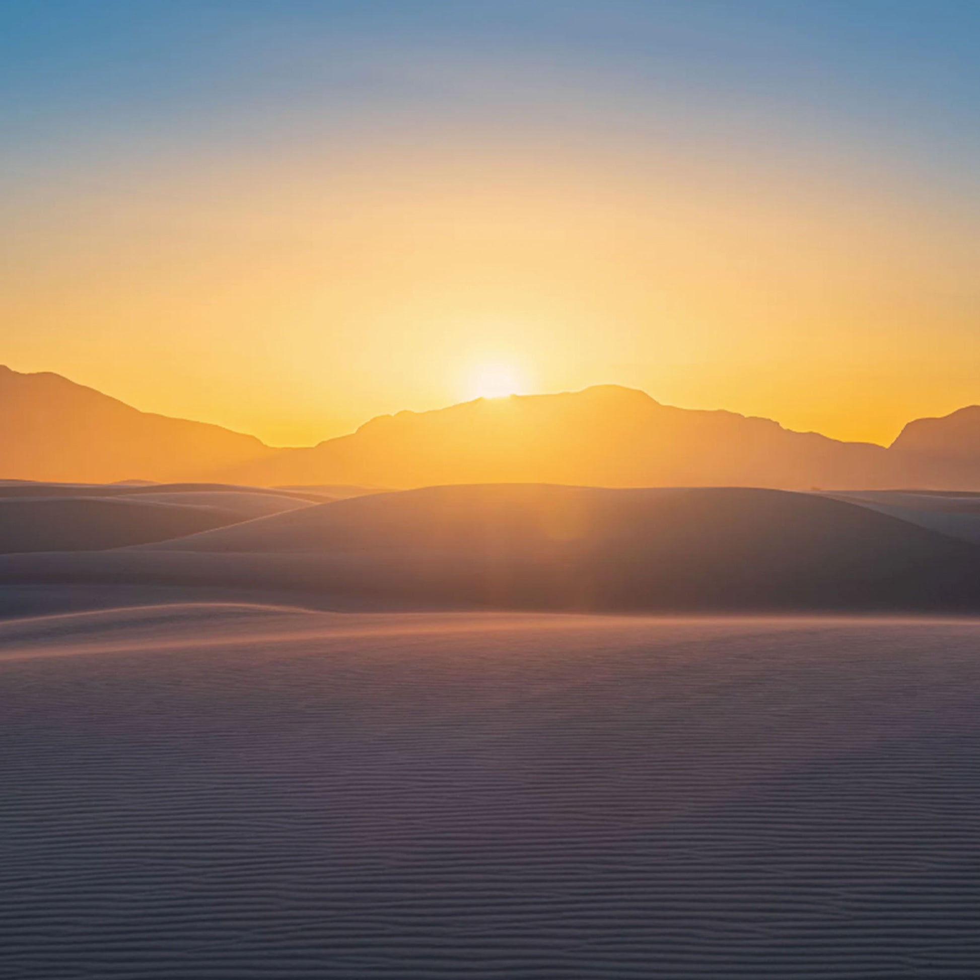 baldy art gallery lawrence leyderman wall art collector decor