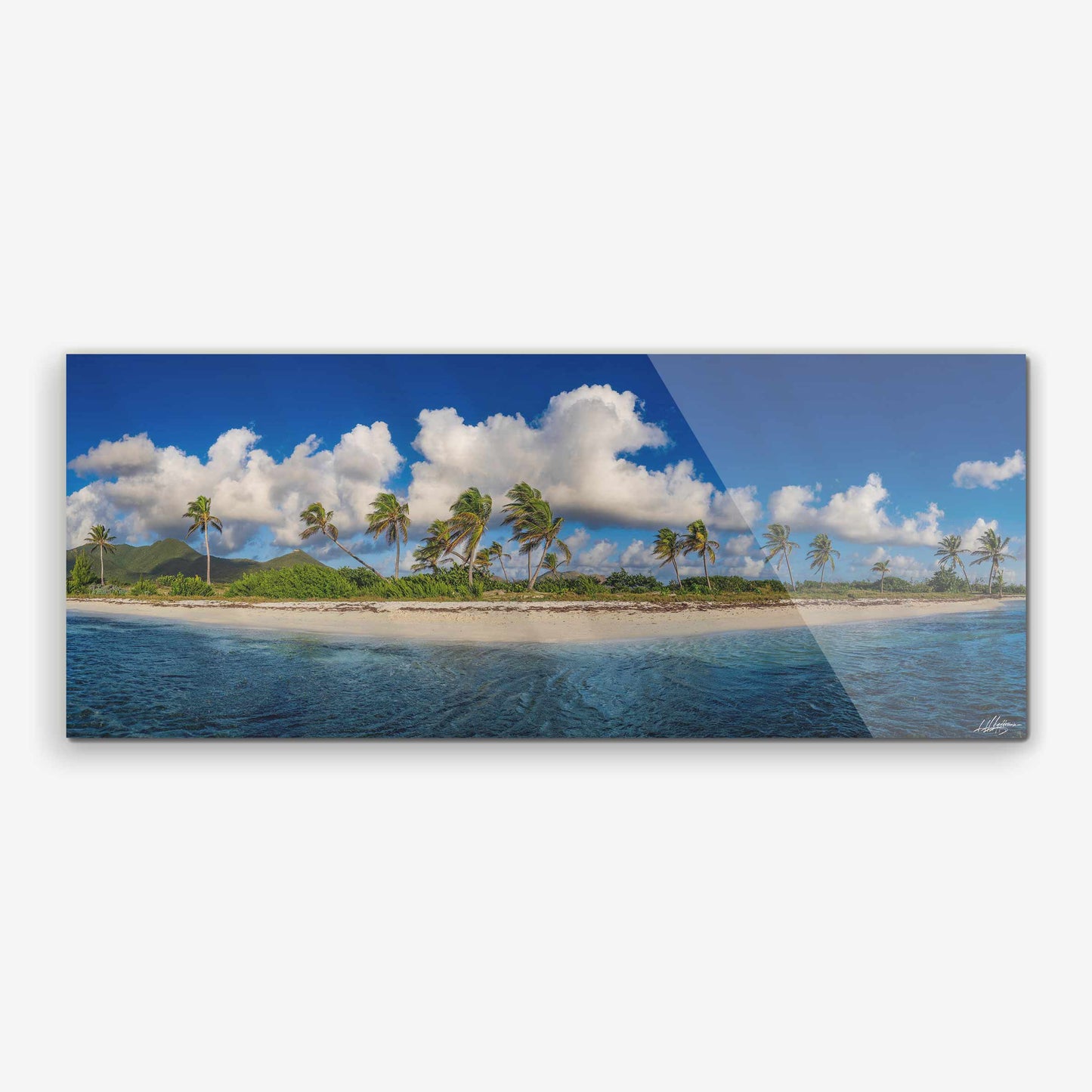 baldy art gallery lawrence leyderman wall art collector decor