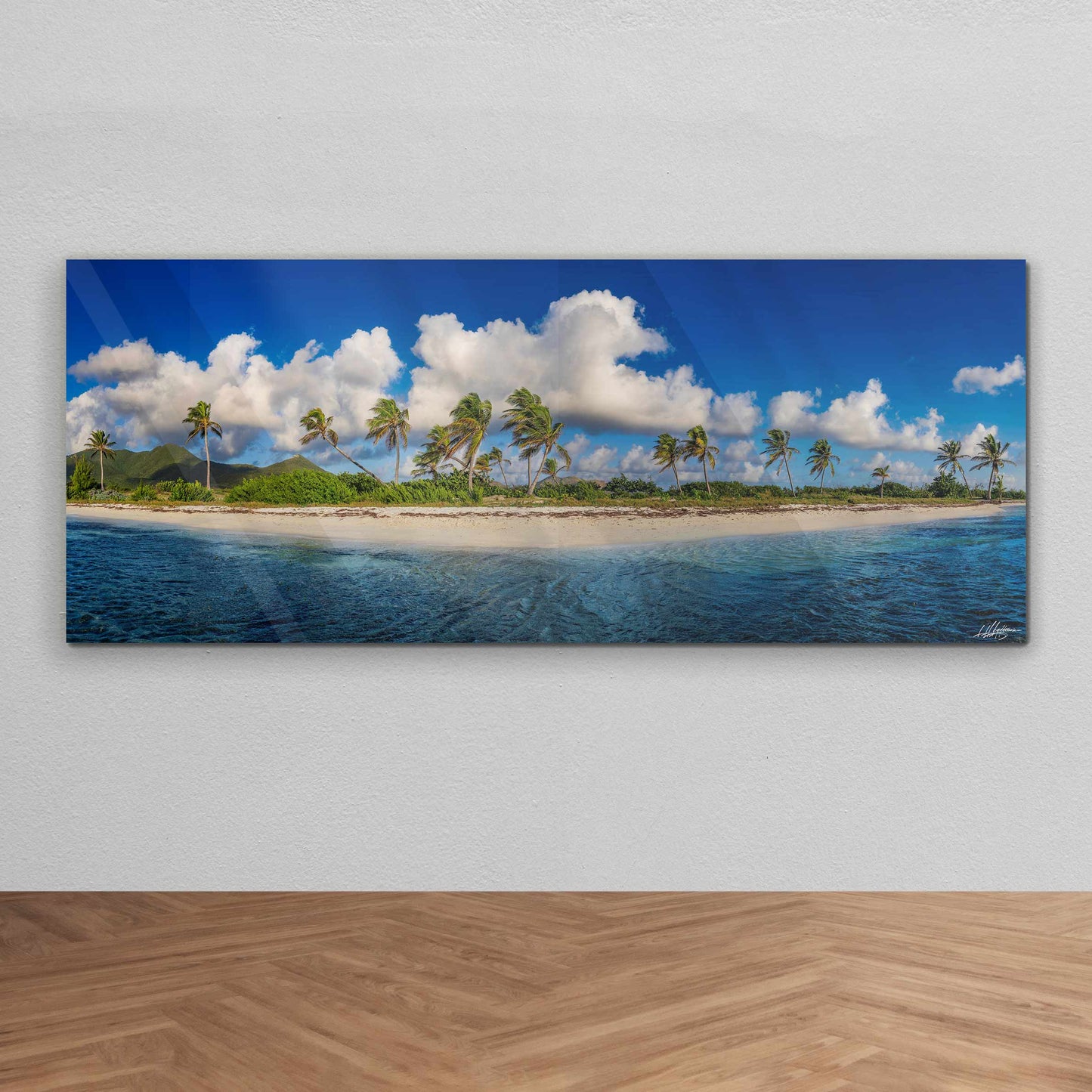 baldy art gallery lawrence leyderman wall art collector decor