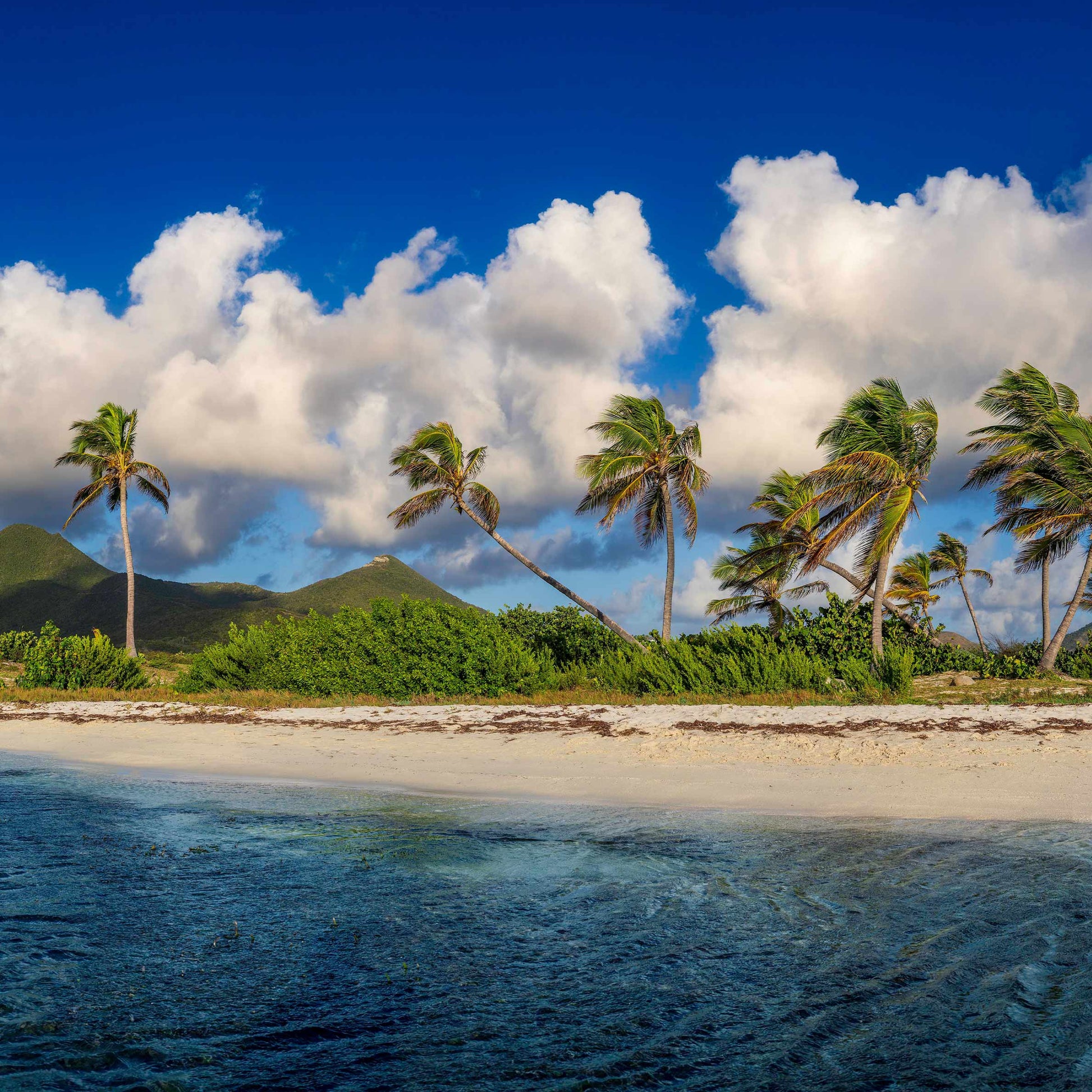 baldy art gallery lawrence leyderman wall art collector decor