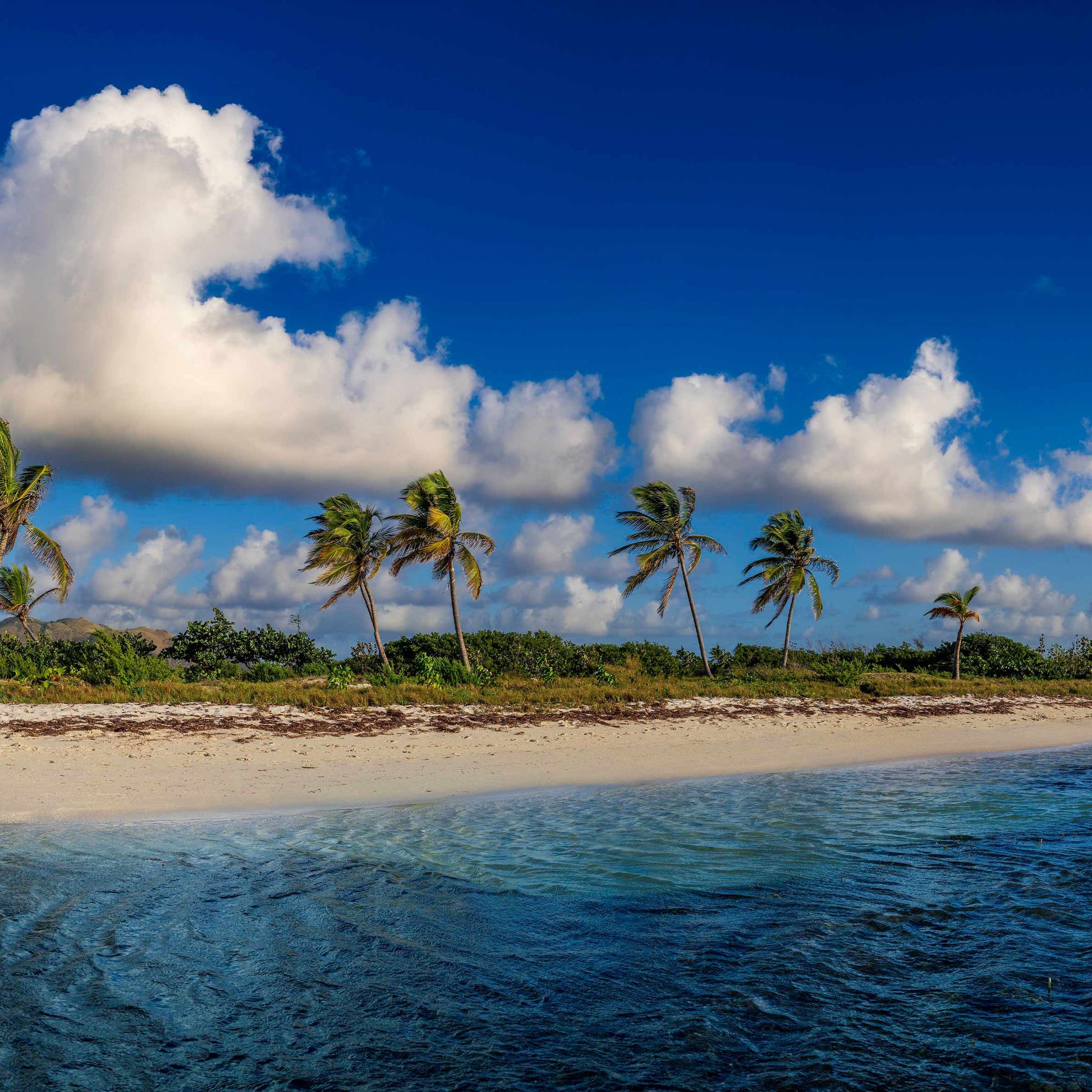 baldy art gallery lawrence leyderman wall art collector decor