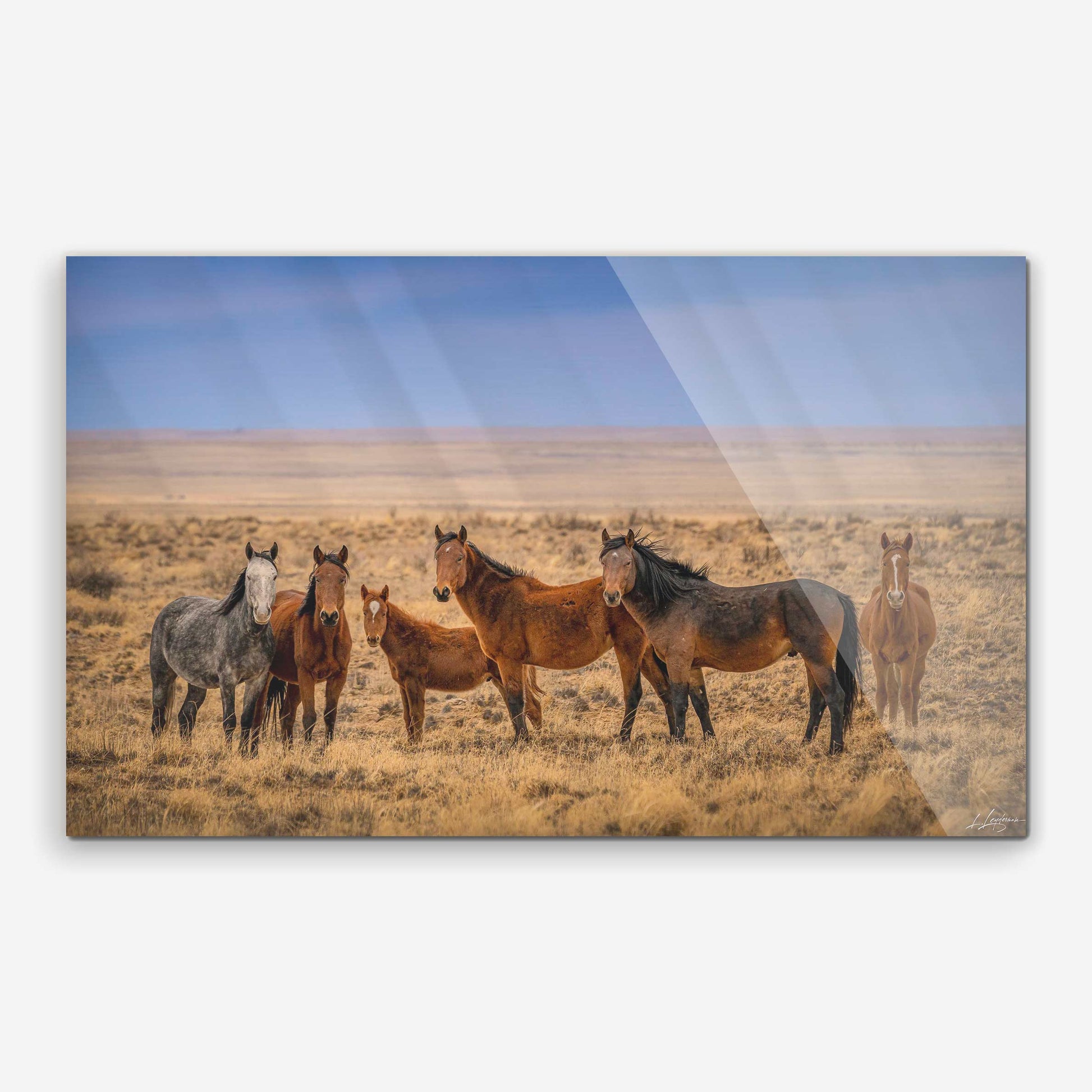 baldy art gallery lawrence leyderman wall art collector decor