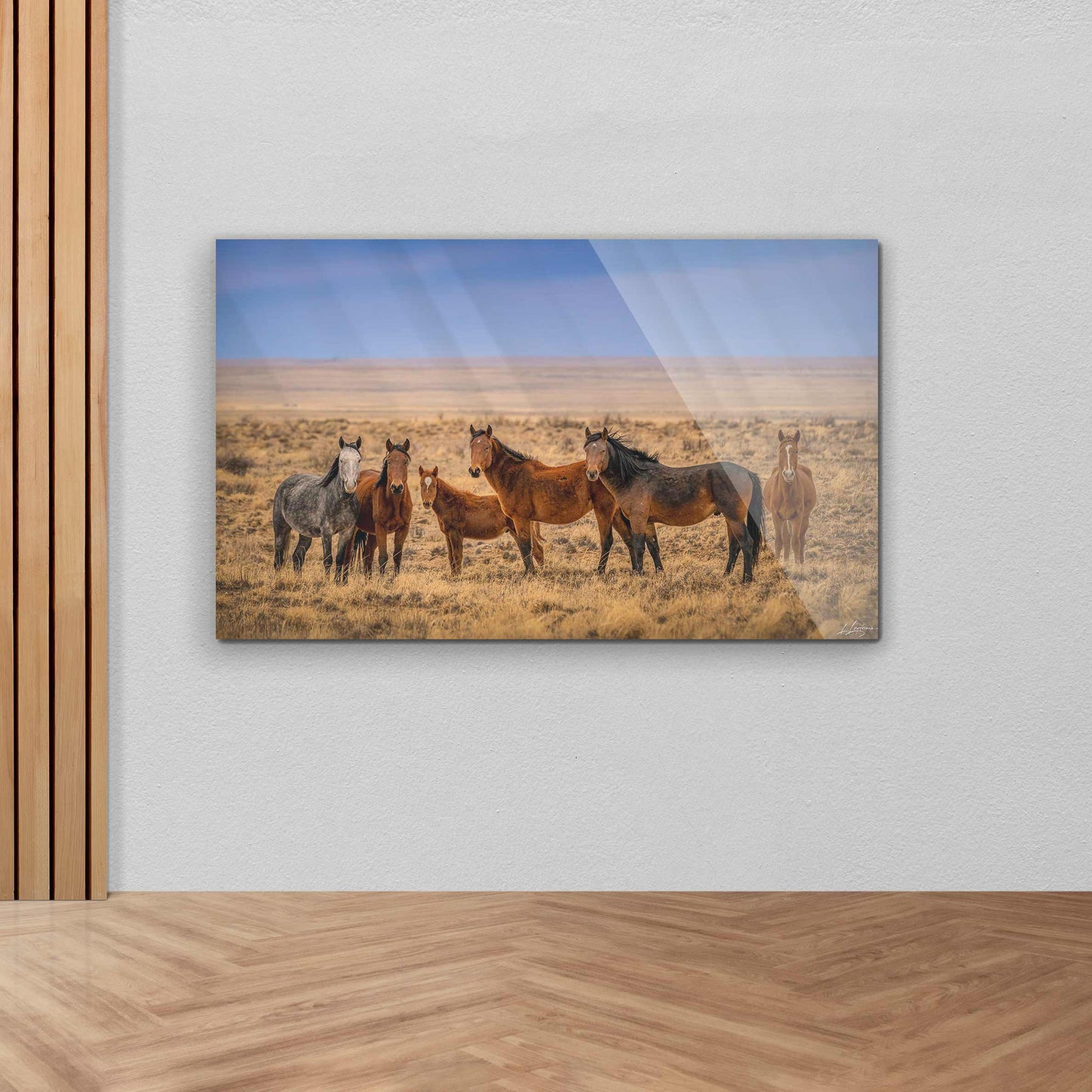 baldy art gallery lawrence leyderman wall art collector decor