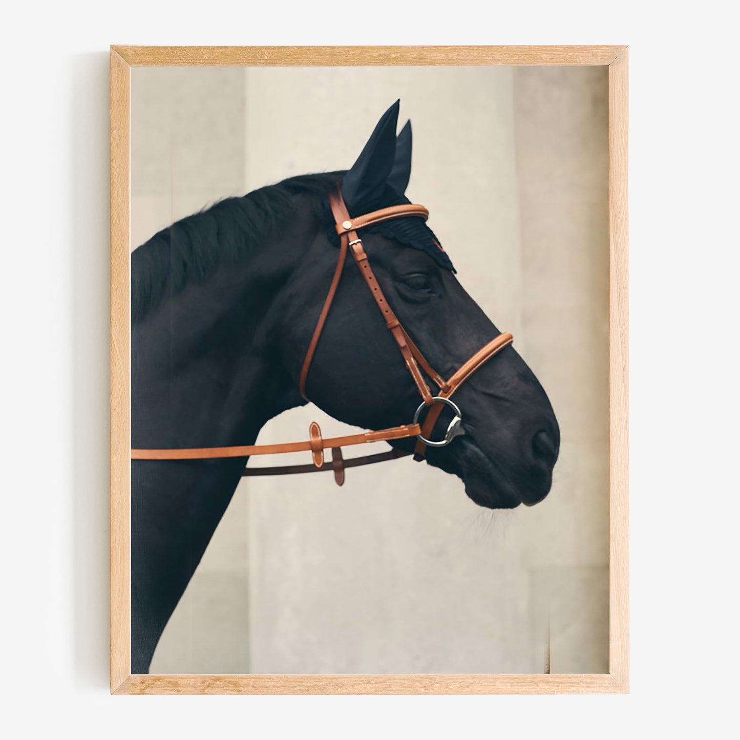 baldy art gallery richard phibbs wall art decor