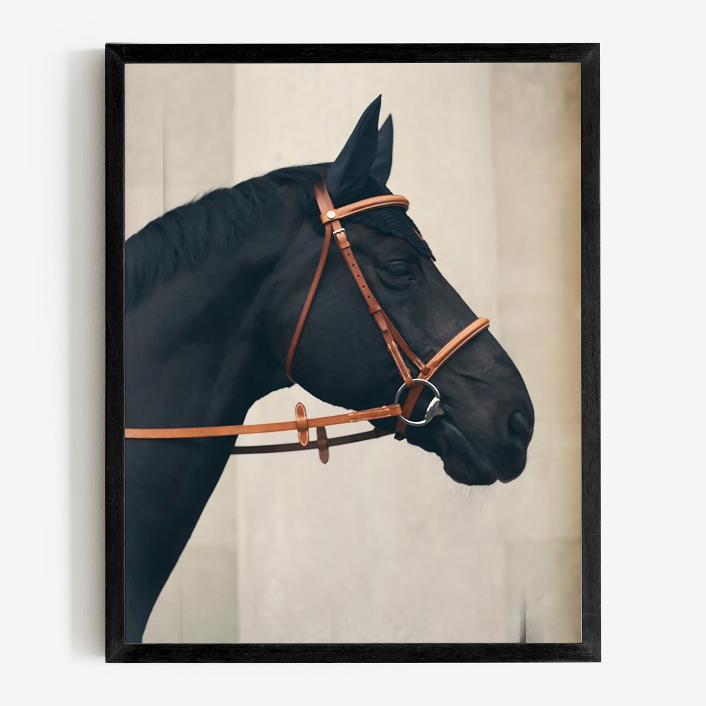 baldy art gallery richard phibbs wall art decor