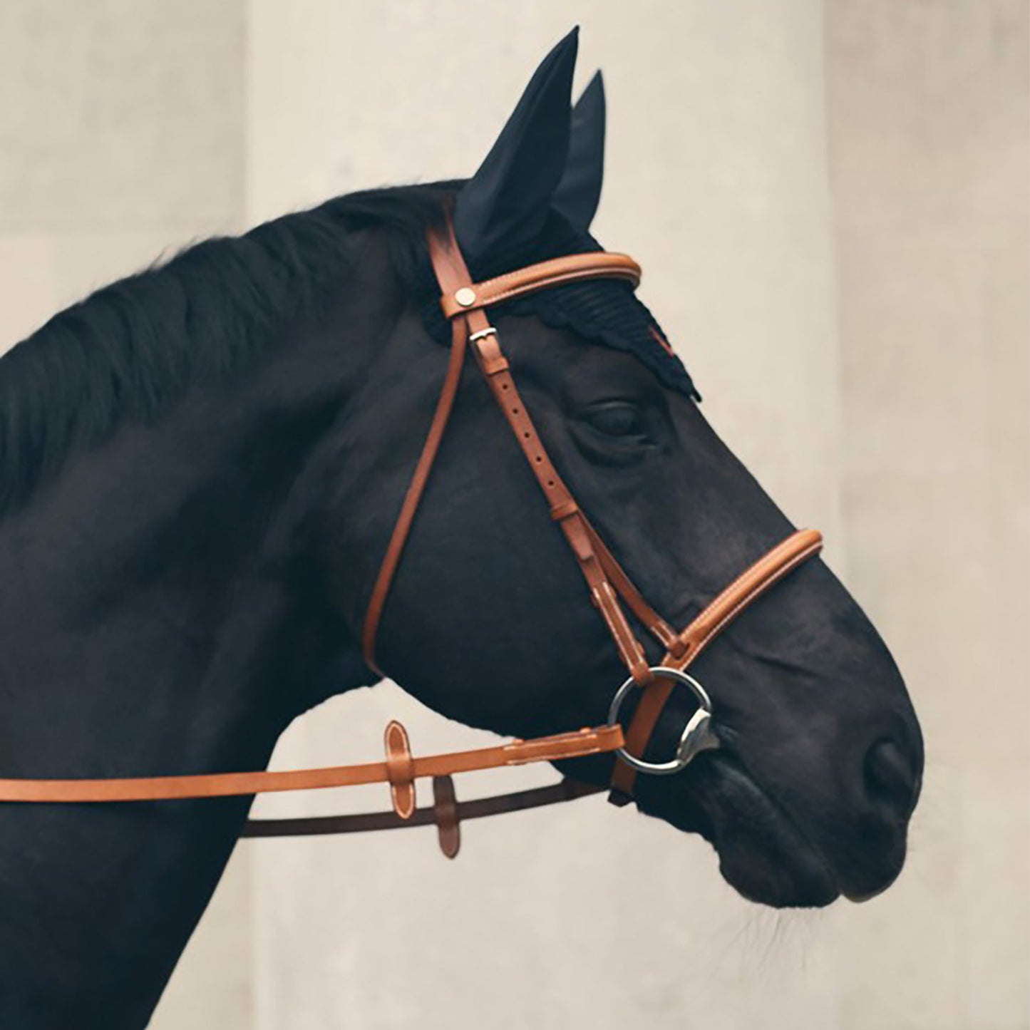 baldy art gallery richard phibbs wall art decor