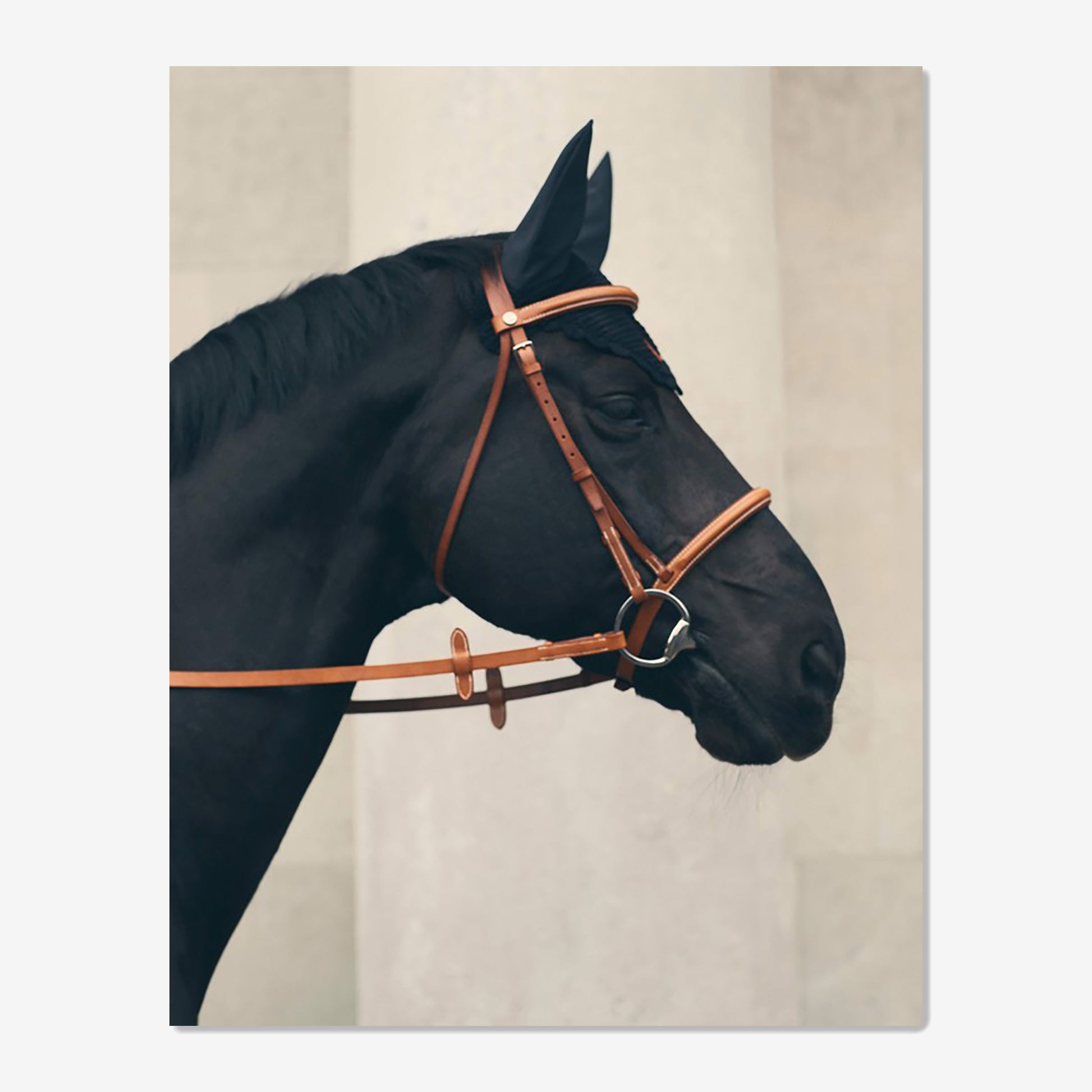 baldy art gallery richard phibbs wall art decor