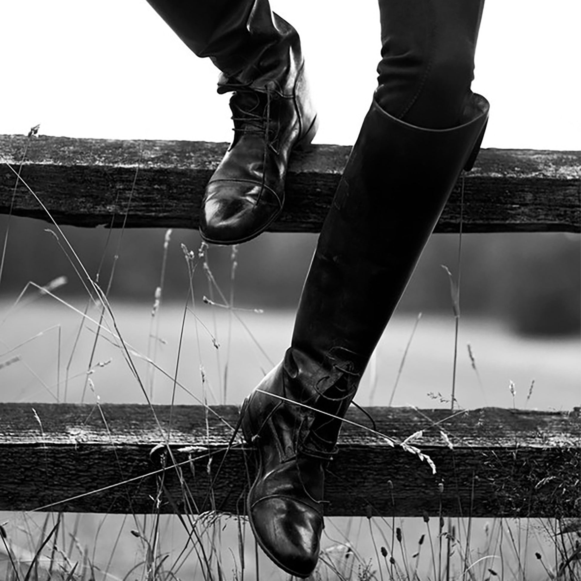 baldy art gallery richard phibbs wall art decor