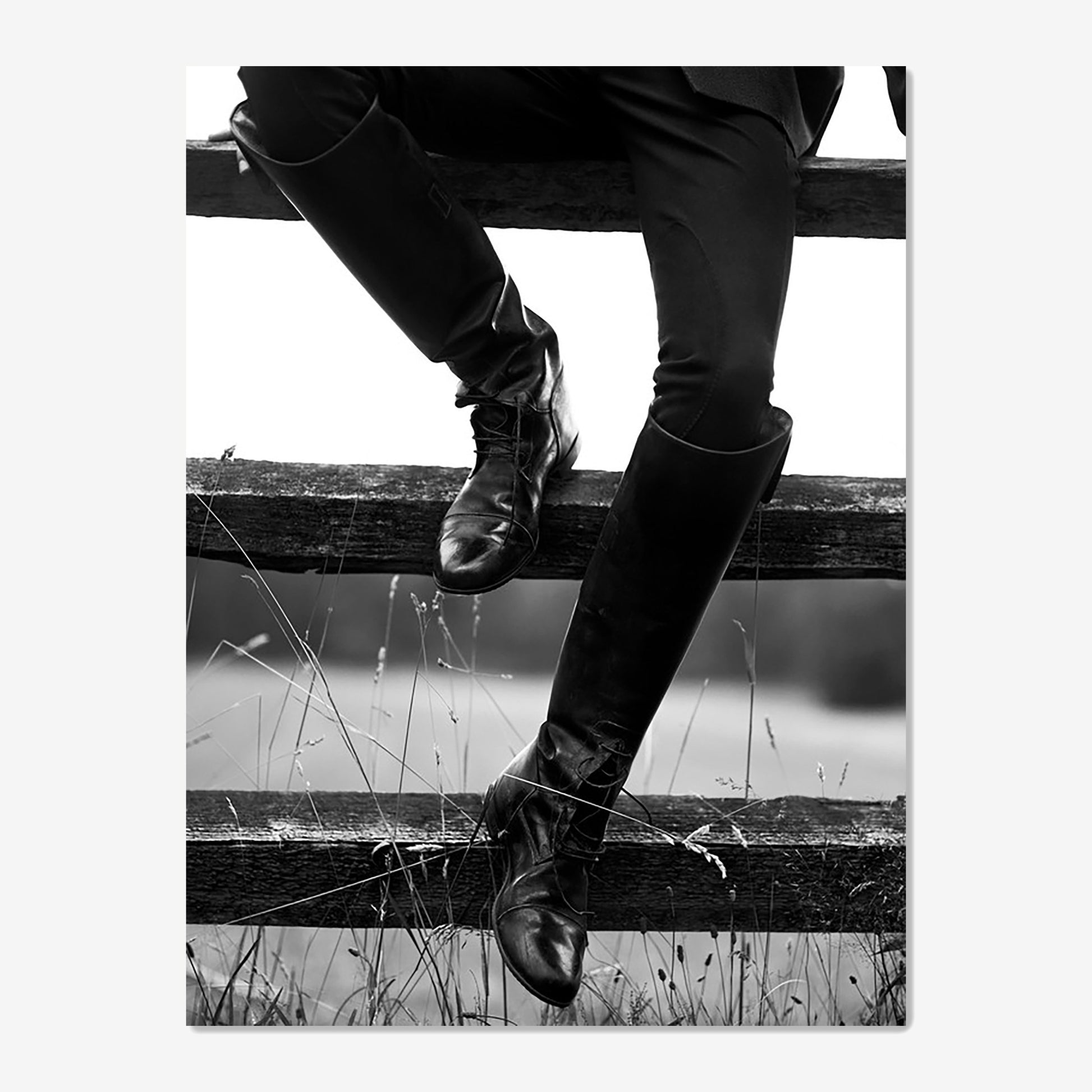 baldy art gallery richard phibbs wall art decor