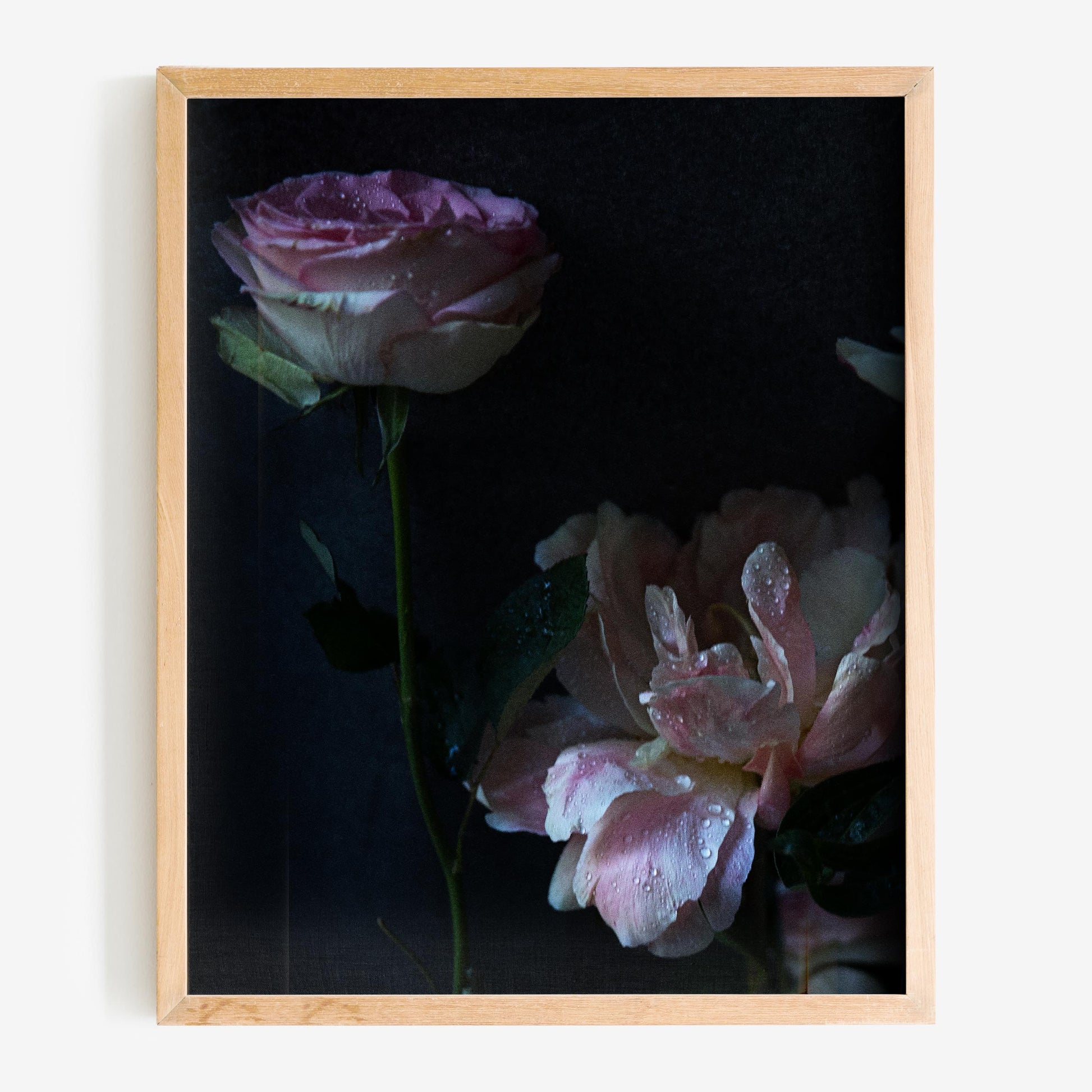 baldy art gallery richard phibbs wall art decor