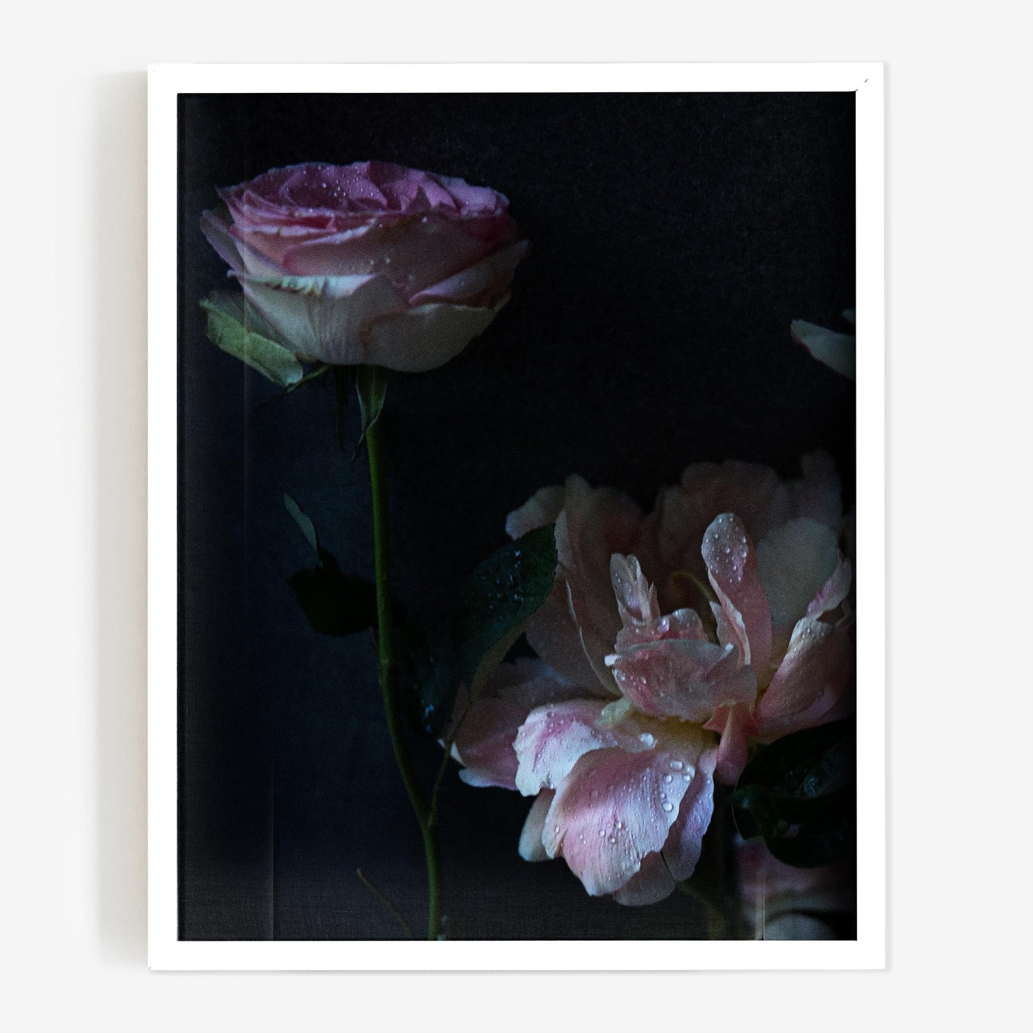 baldy art gallery richard phibbs wall art decor