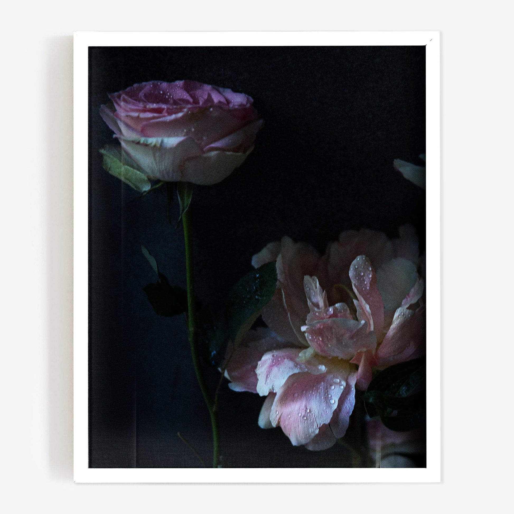 baldy art gallery richard phibbs wall art decor