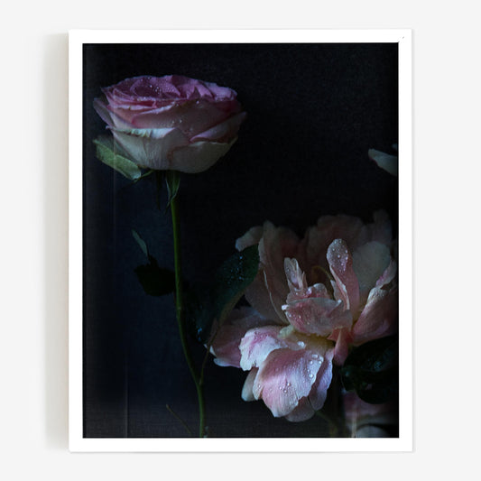 baldy art gallery richard phibbs wall art decor