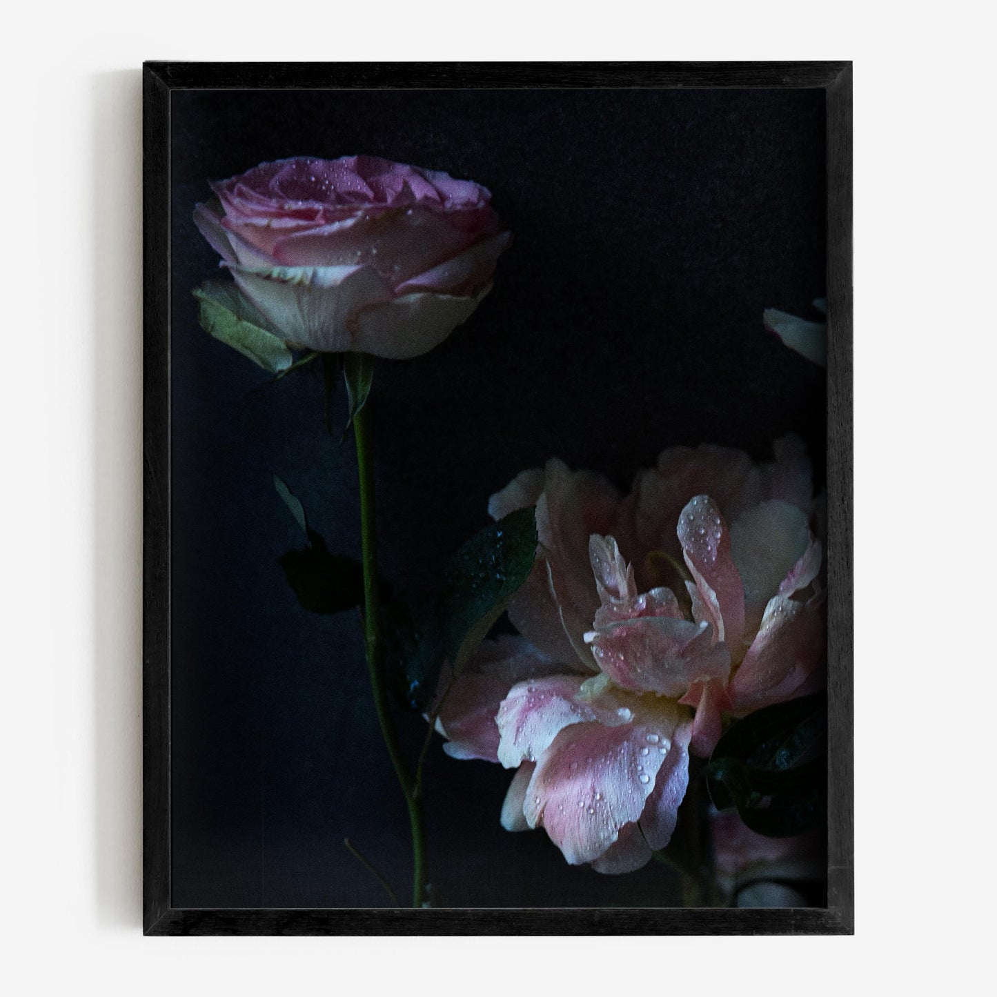 baldy art gallery richard phibbs wall art decor