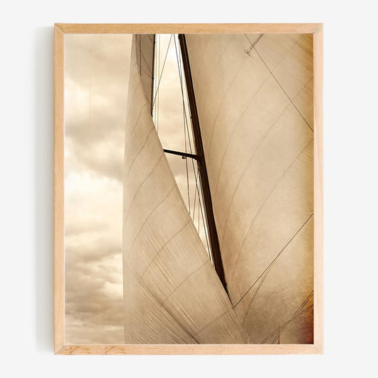 baldy art gallery richard phibbs wall art decor