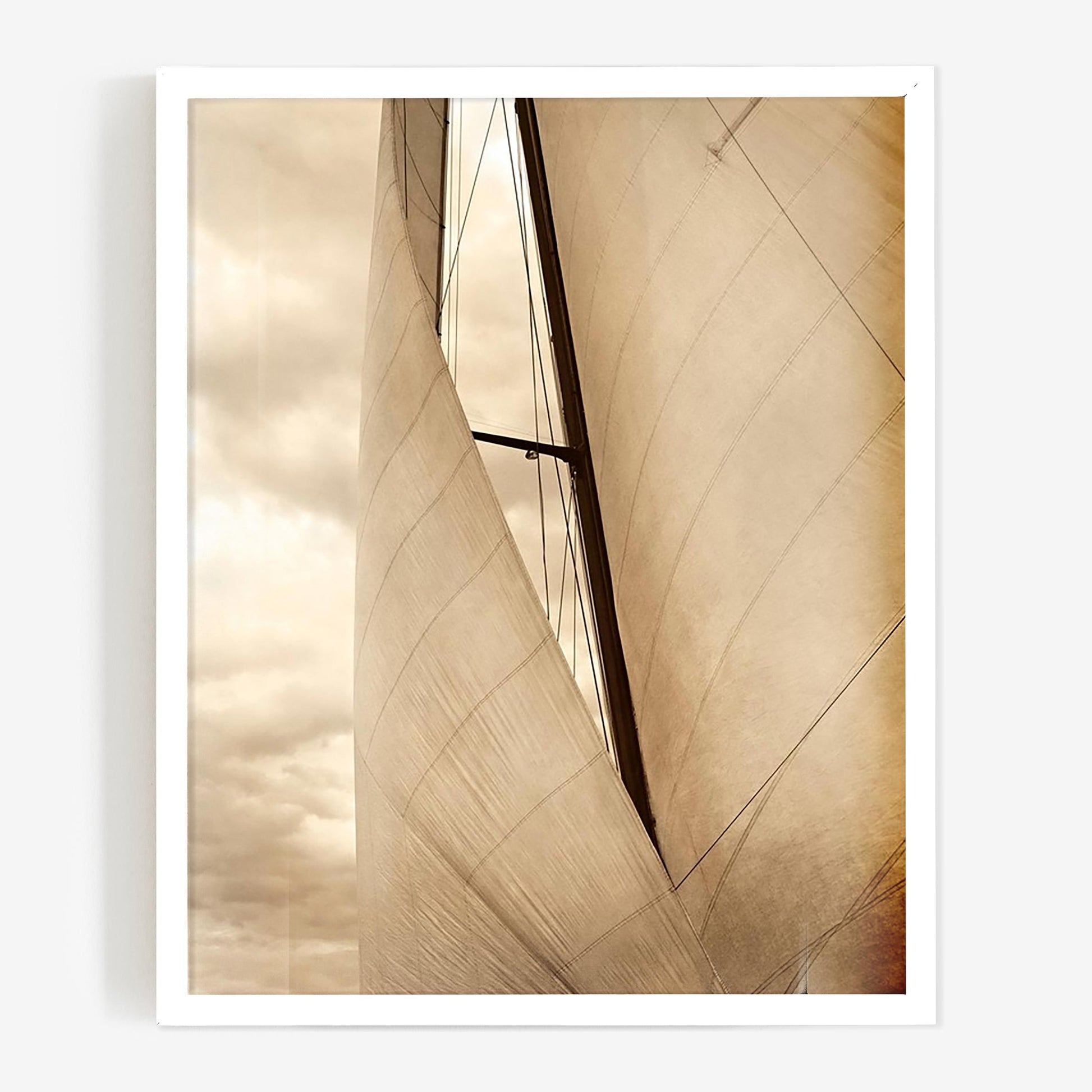 baldy art gallery richard phibbs wall art decor