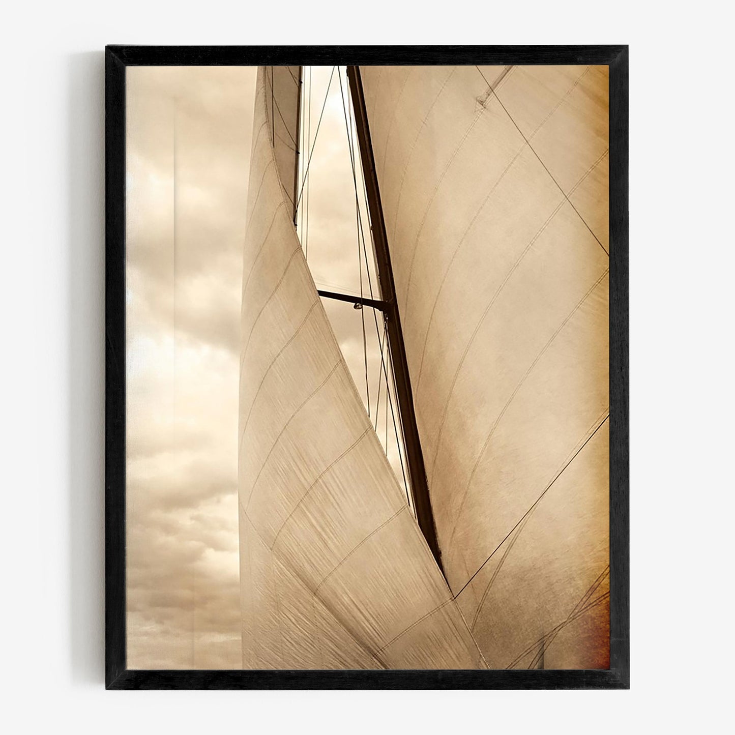 baldy art gallery richard phibbs wall art decor