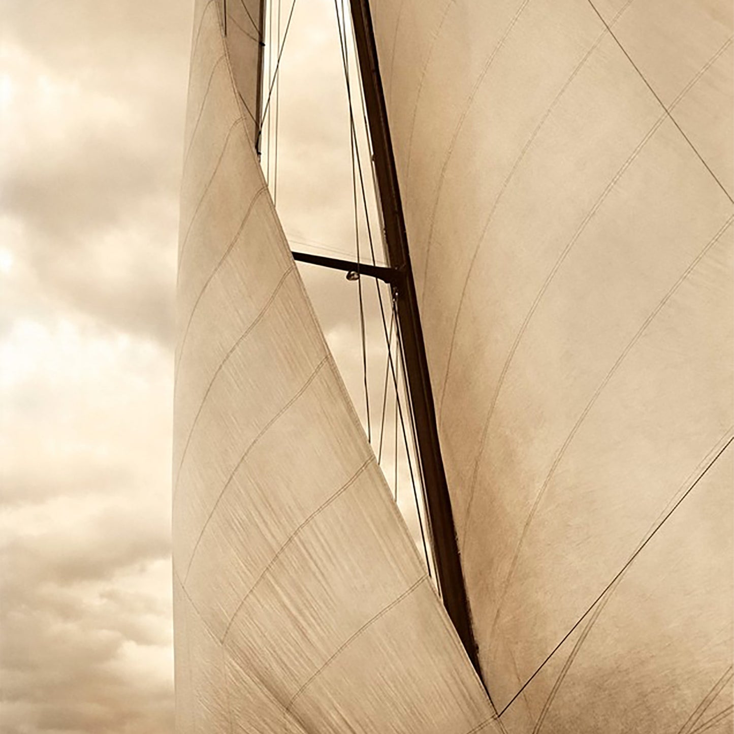 baldy art gallery richard phibbs wall art decor