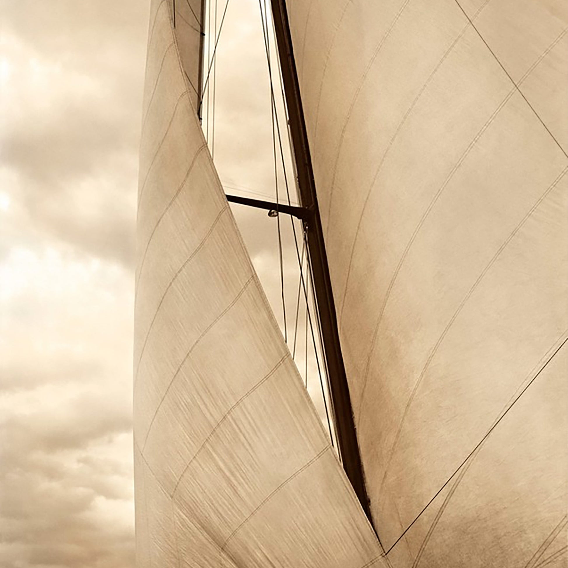 baldy art gallery richard phibbs wall art decor