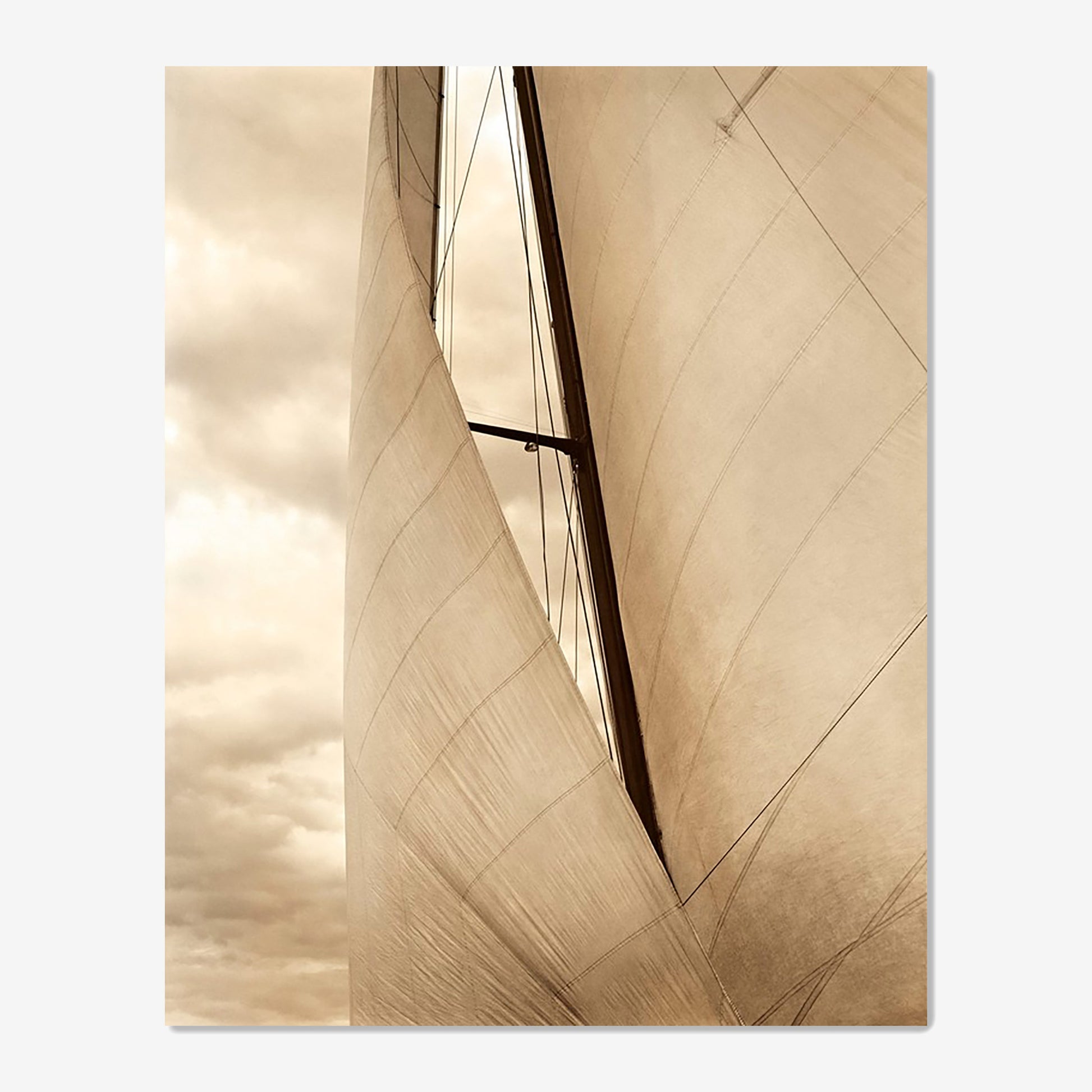 baldy art gallery richard phibbs wall art decor