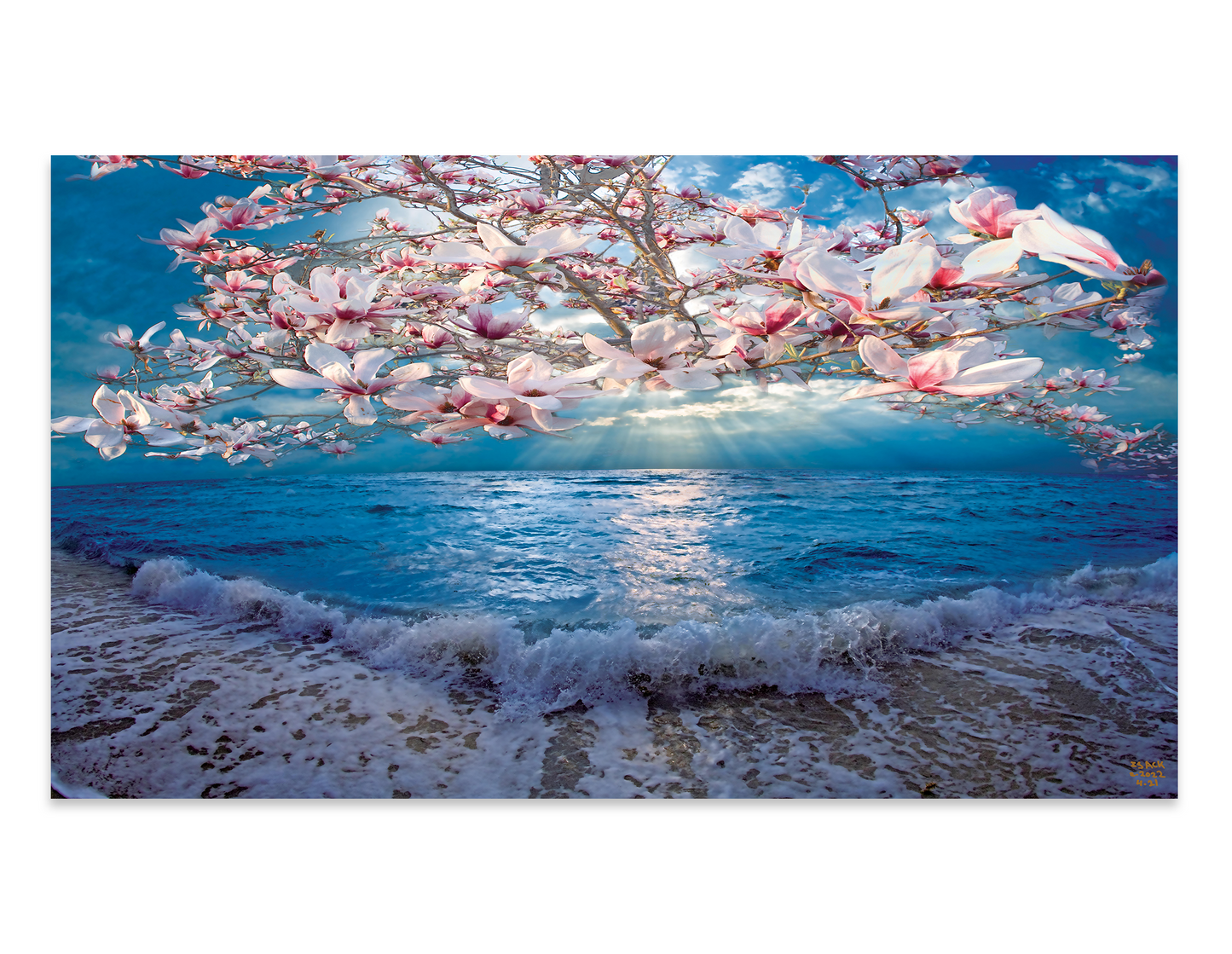 baldy art gallery isack kousnsky art collector home decor wall art