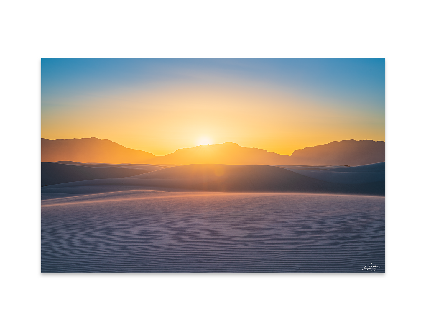 baldy art gallery lawrence leyderman wall art collector decor