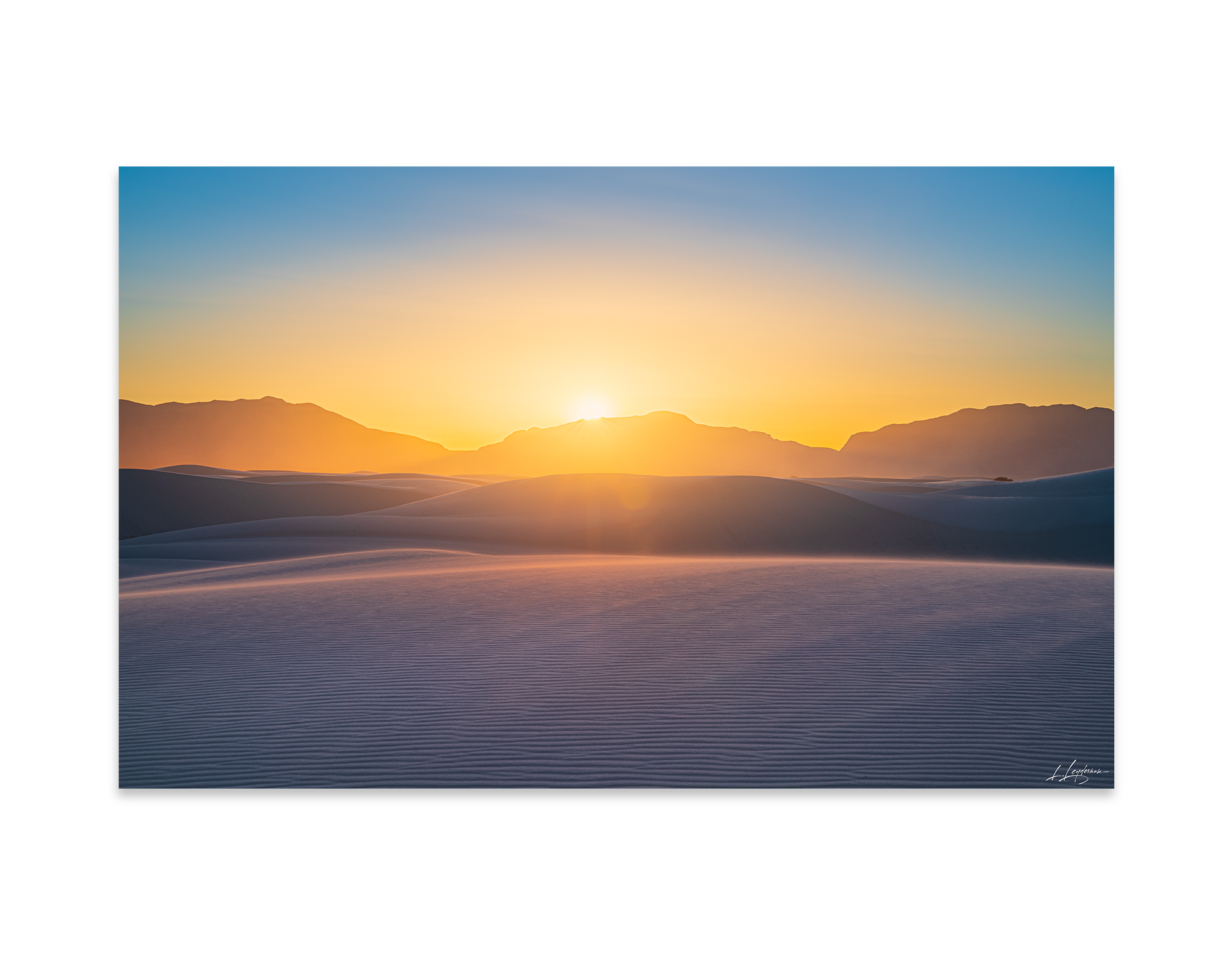 baldy art gallery lawrence leyderman wall art collector decor