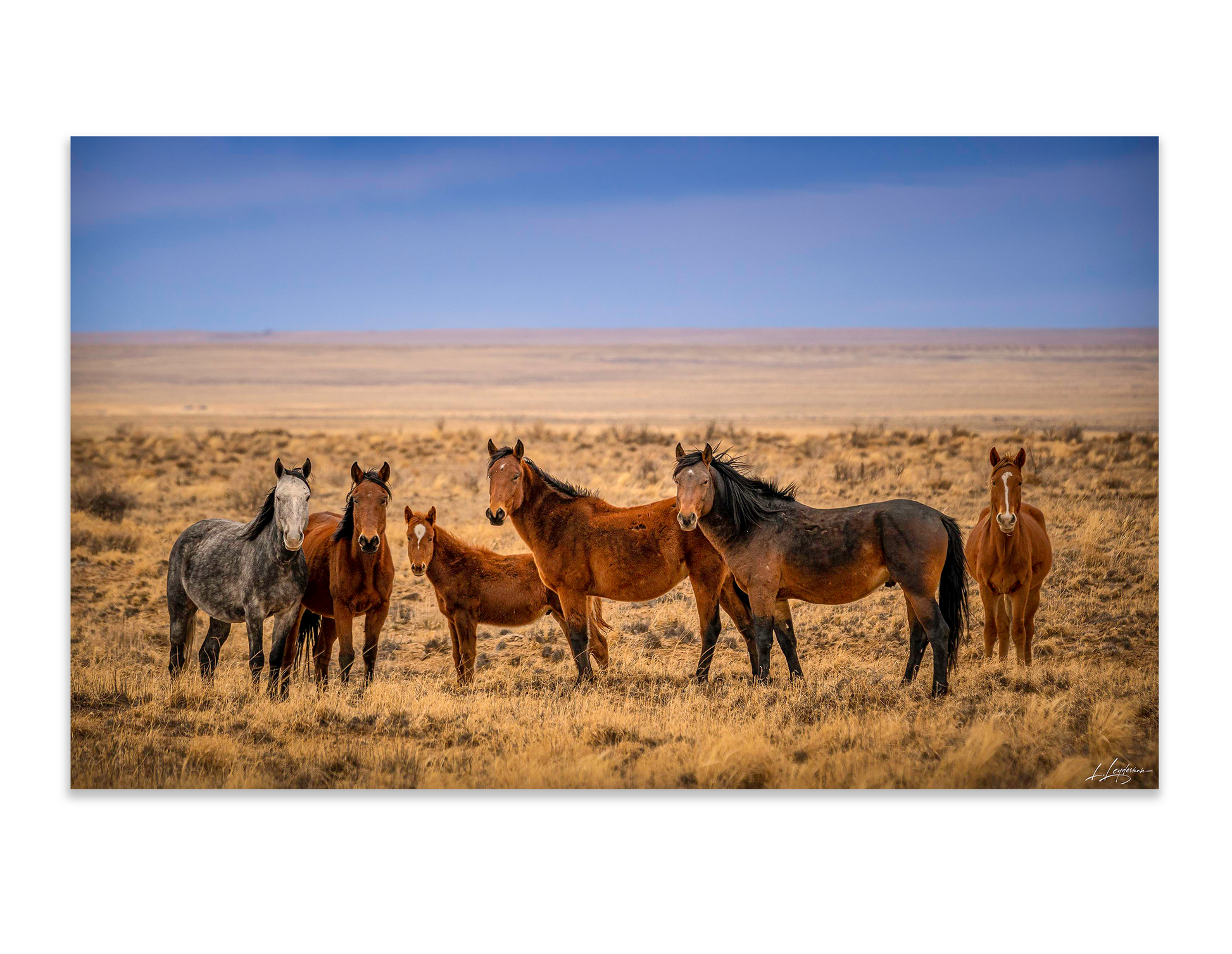 baldy art gallery lawrence leyderman wall art collector decor