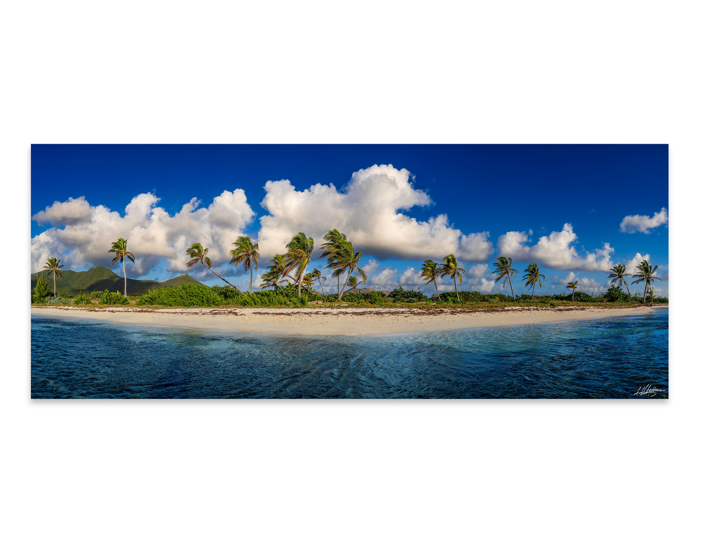 baldy art gallery lawrence leyderman wall art collector decor