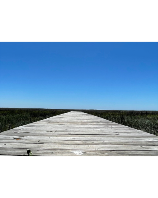 Wilmintong Island Port