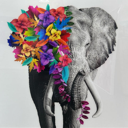 Baldy Art Gallery James B. Studio Digital Art, Black and White Photography Colorful Flowers Fine Art Photography