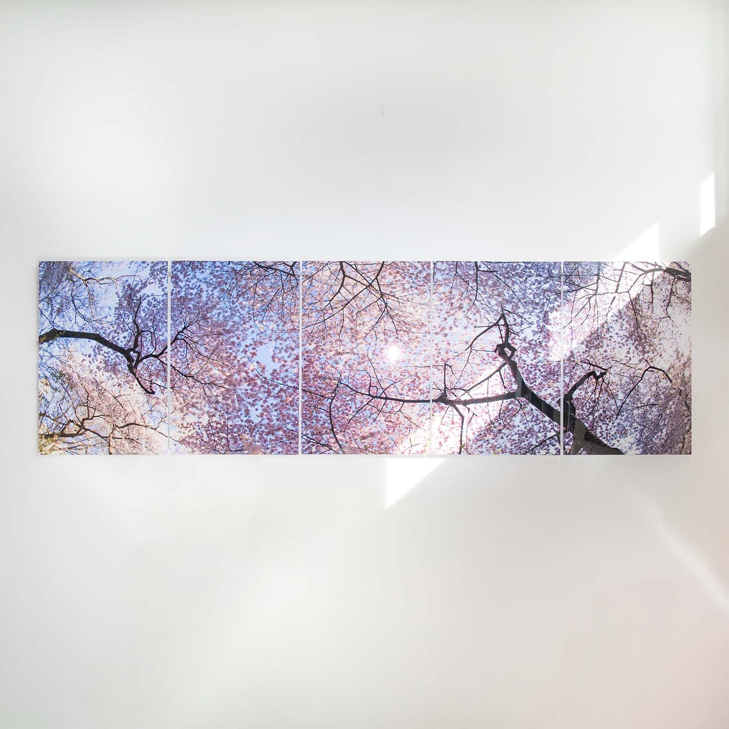 Cherry Blossoms in Natural Pentaptych 5 Panels