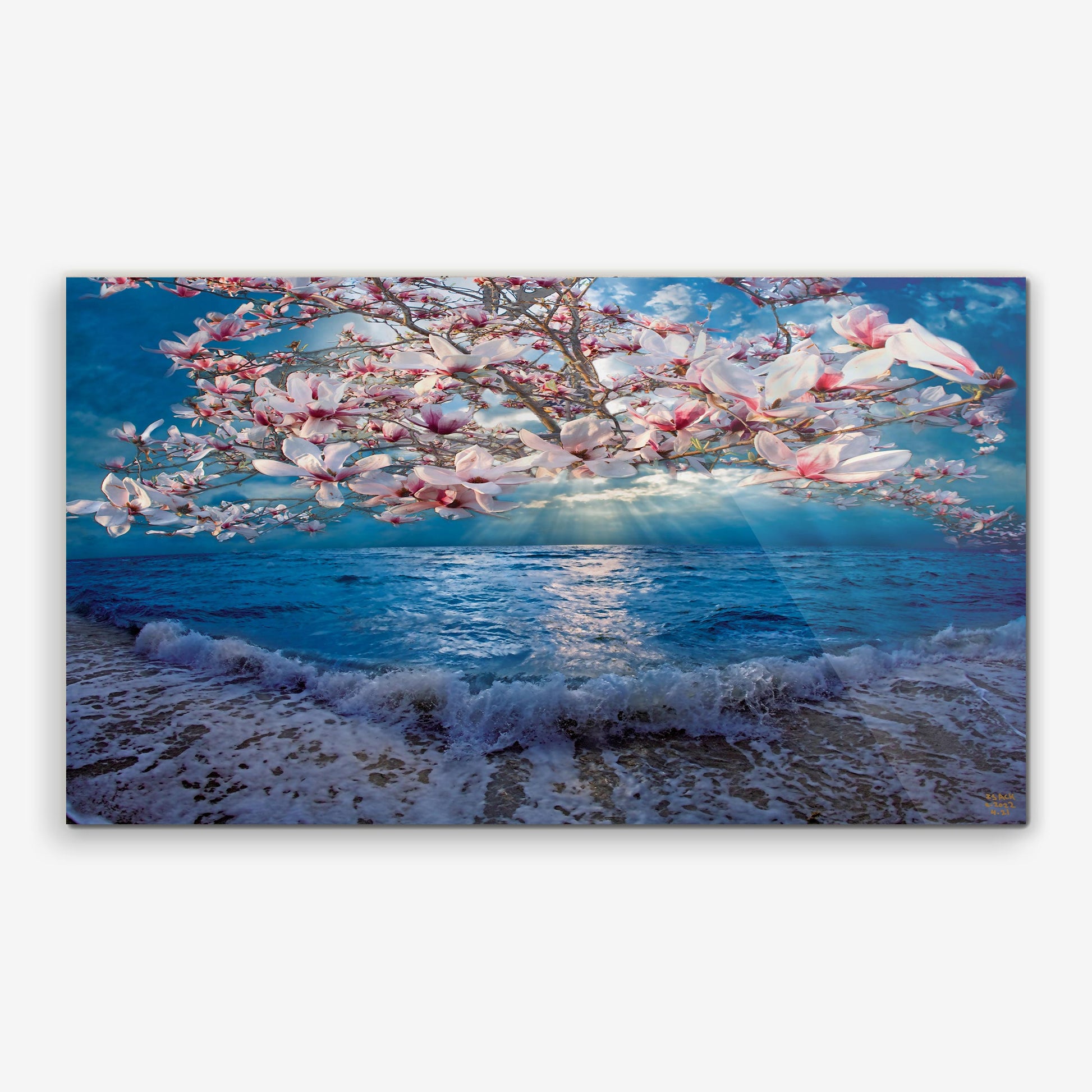 baldy art gallery isack kousnsky art collector home decor wall art