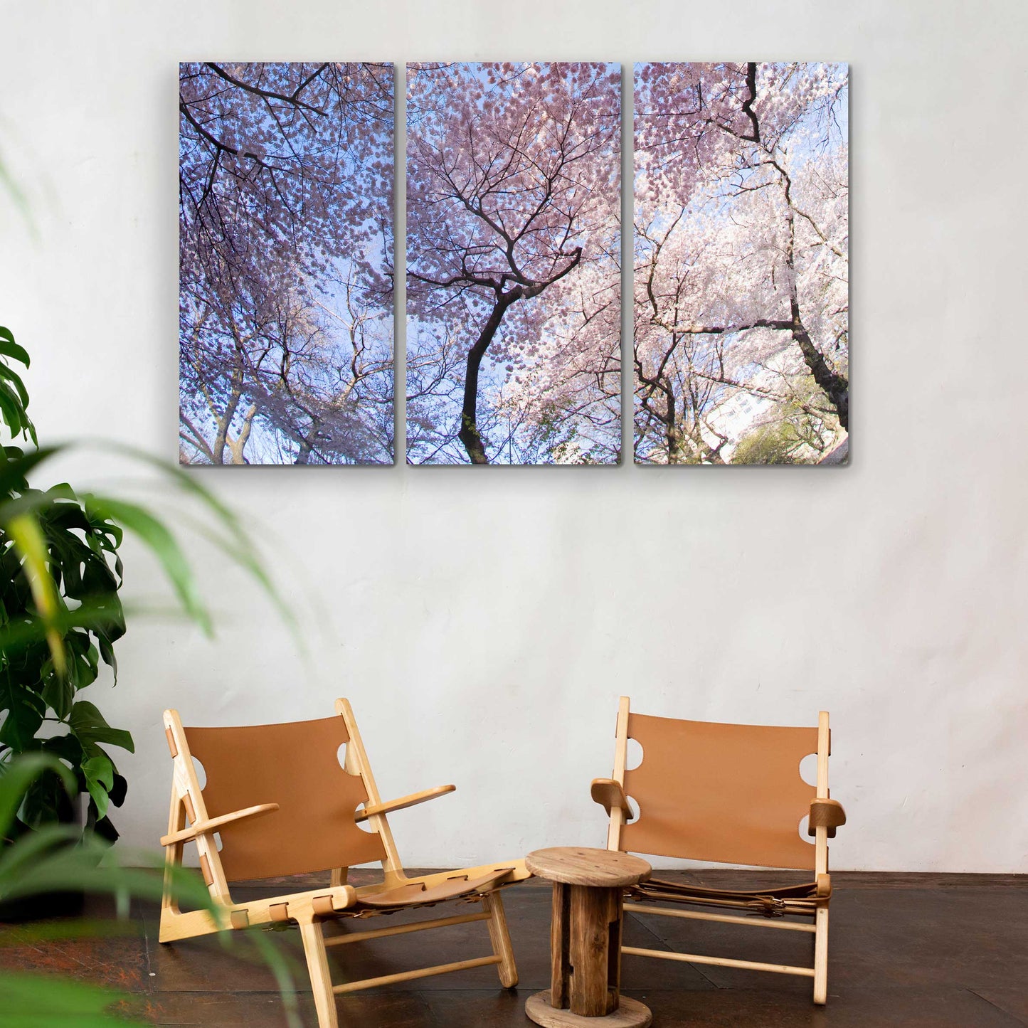 Cherry Blossoms in Natural Triptych